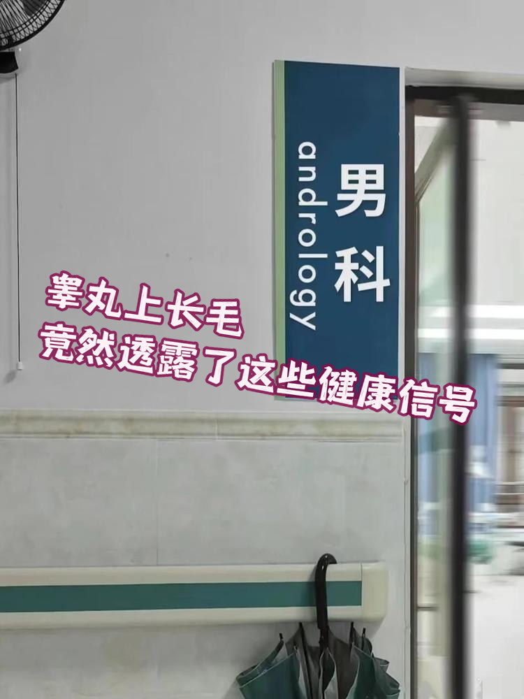 睾丸上长毛,竟然透露了这些健康信号!