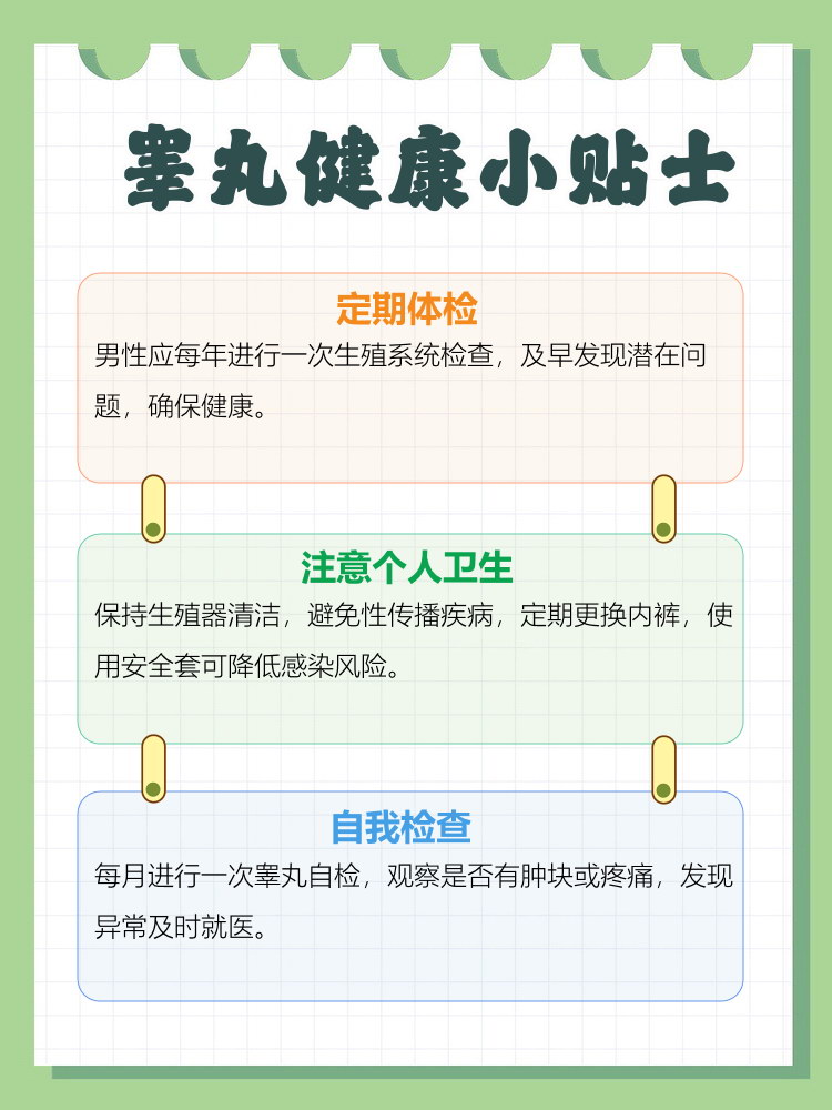 睾丸疼为什么会腰也疼百科在线 睾丸疼为什么会腰也疼百科在线