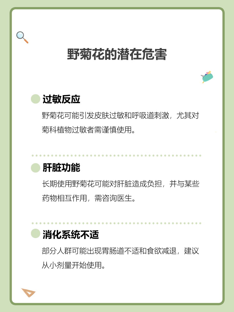 了解这些潜在的害处,对于安全使用野菊花至关重要