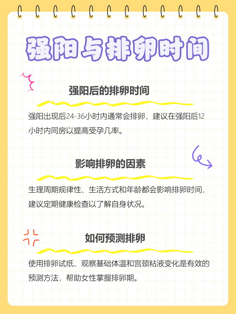 在女性的生理周期中,排卵是一个至关重要的过程
