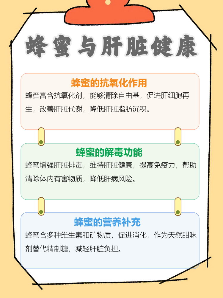 蜂蜜对人体的好处和功能有哪些(蜂蜜对人体有什么作用)