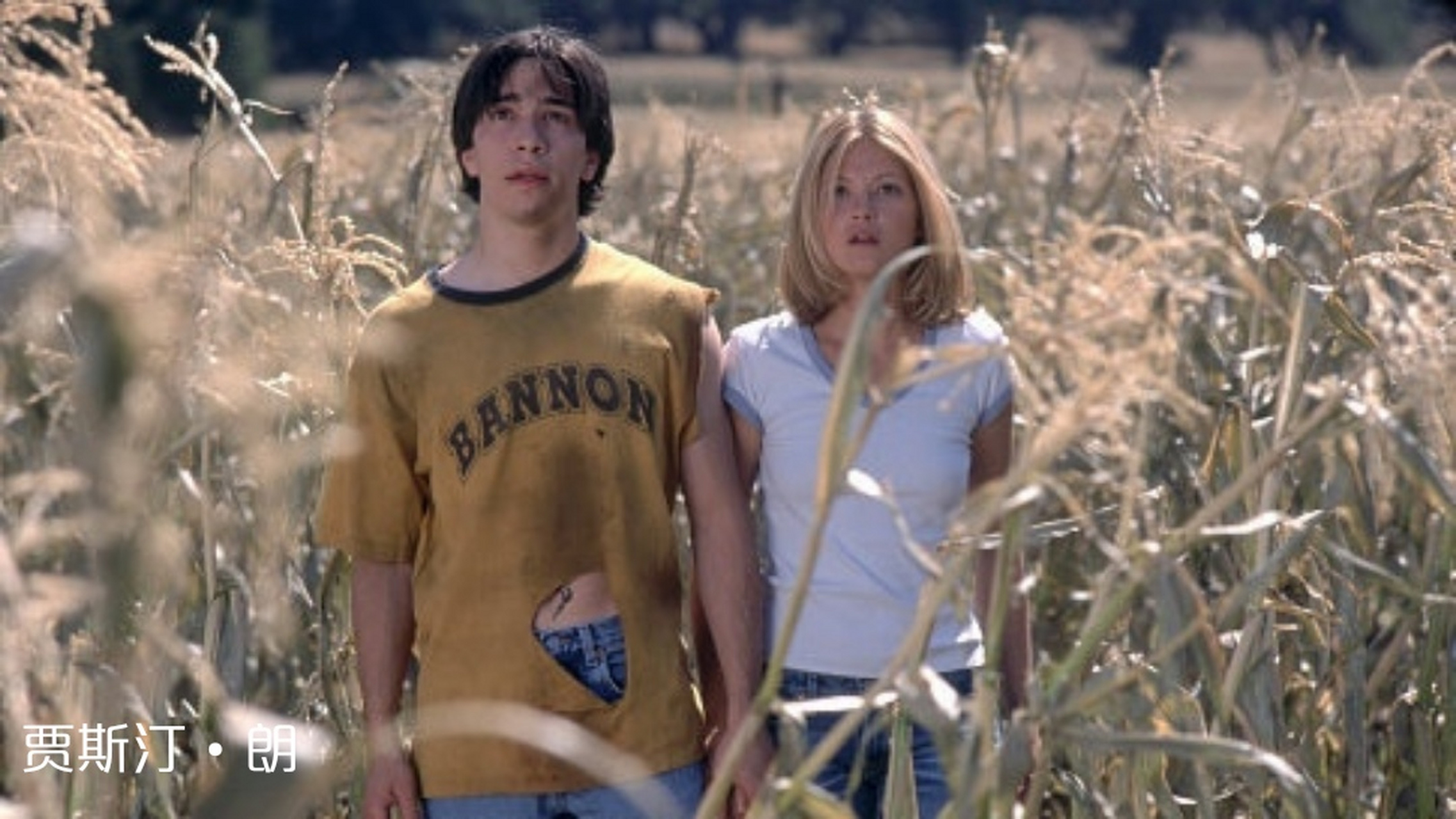 恐怖片《惊心食人族2》  记录看过的电影 恐怖