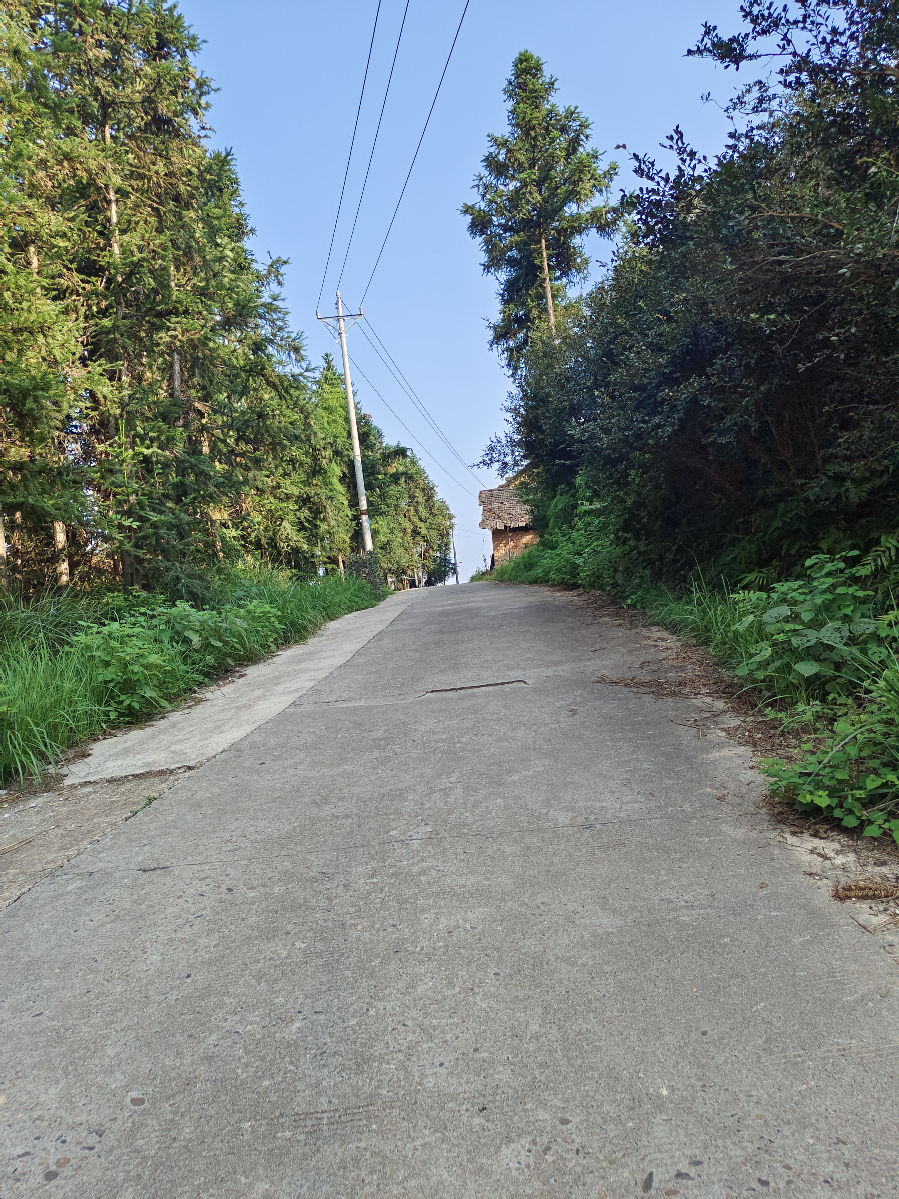 著名五指杨丽萍有一次被采访时说出了不同的见解,他说,我觉得