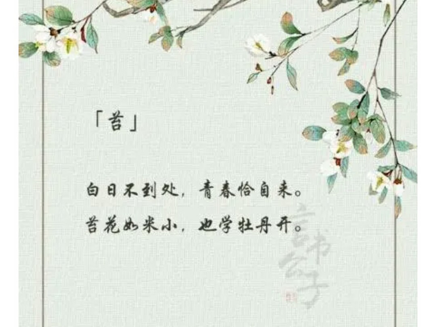 "白日不到处, 青春恰自来. 苔花如米小, 也学牡丹开.