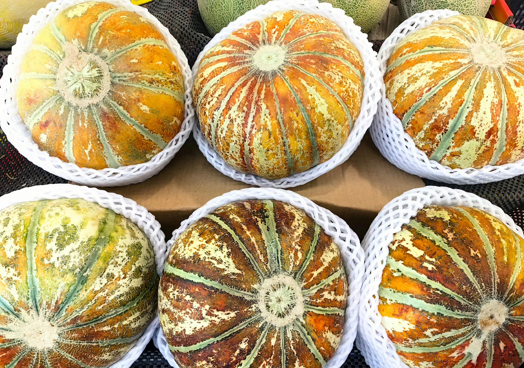 闻一下香味袭人,吃一口   甜到心底的新疆老汉瓜(老爷瓜)老汉瓜可香可