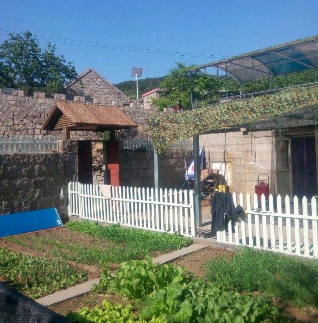 梦想中的农村小院