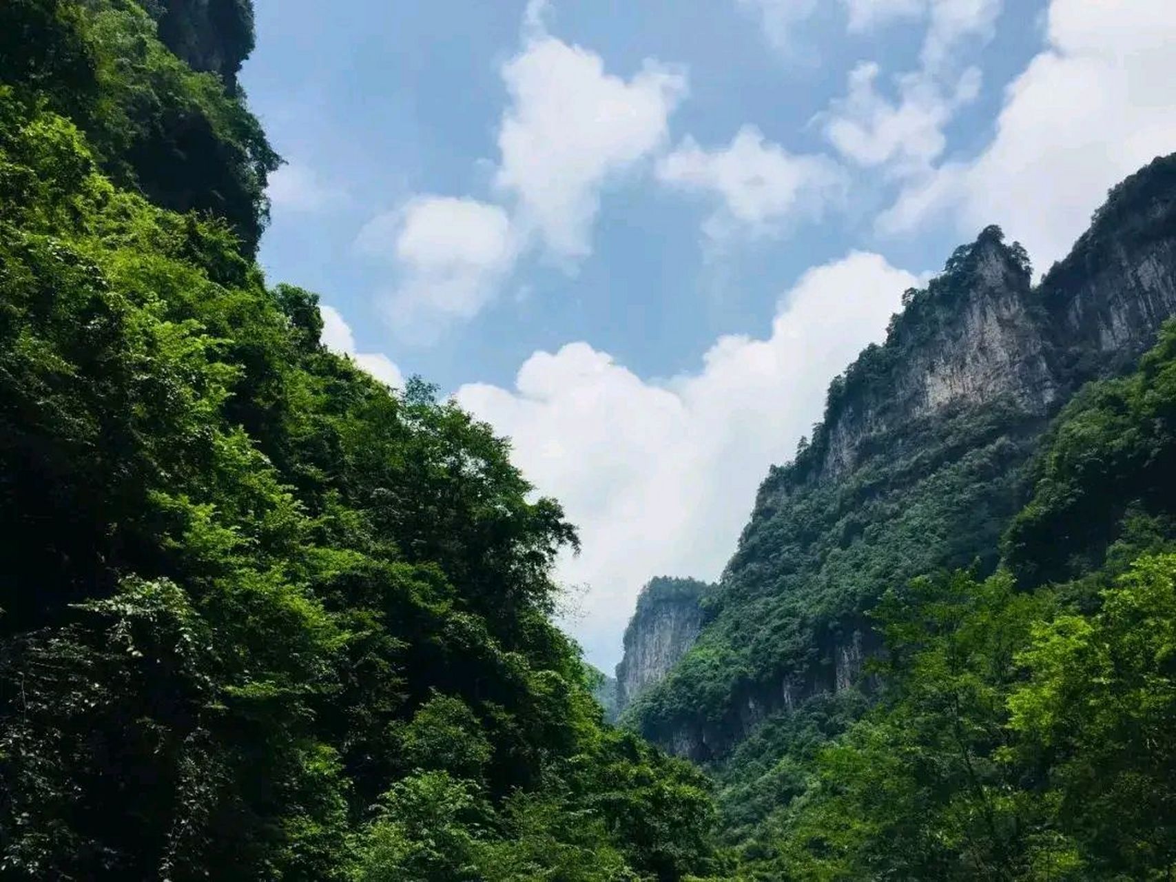 六龙山风景区门票图片