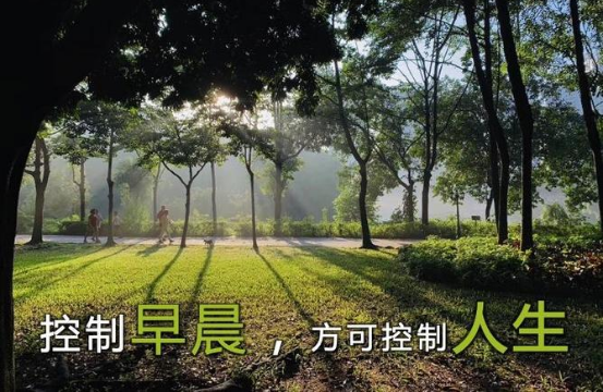 最好的生活方式:存钱,运动,读书,早起
