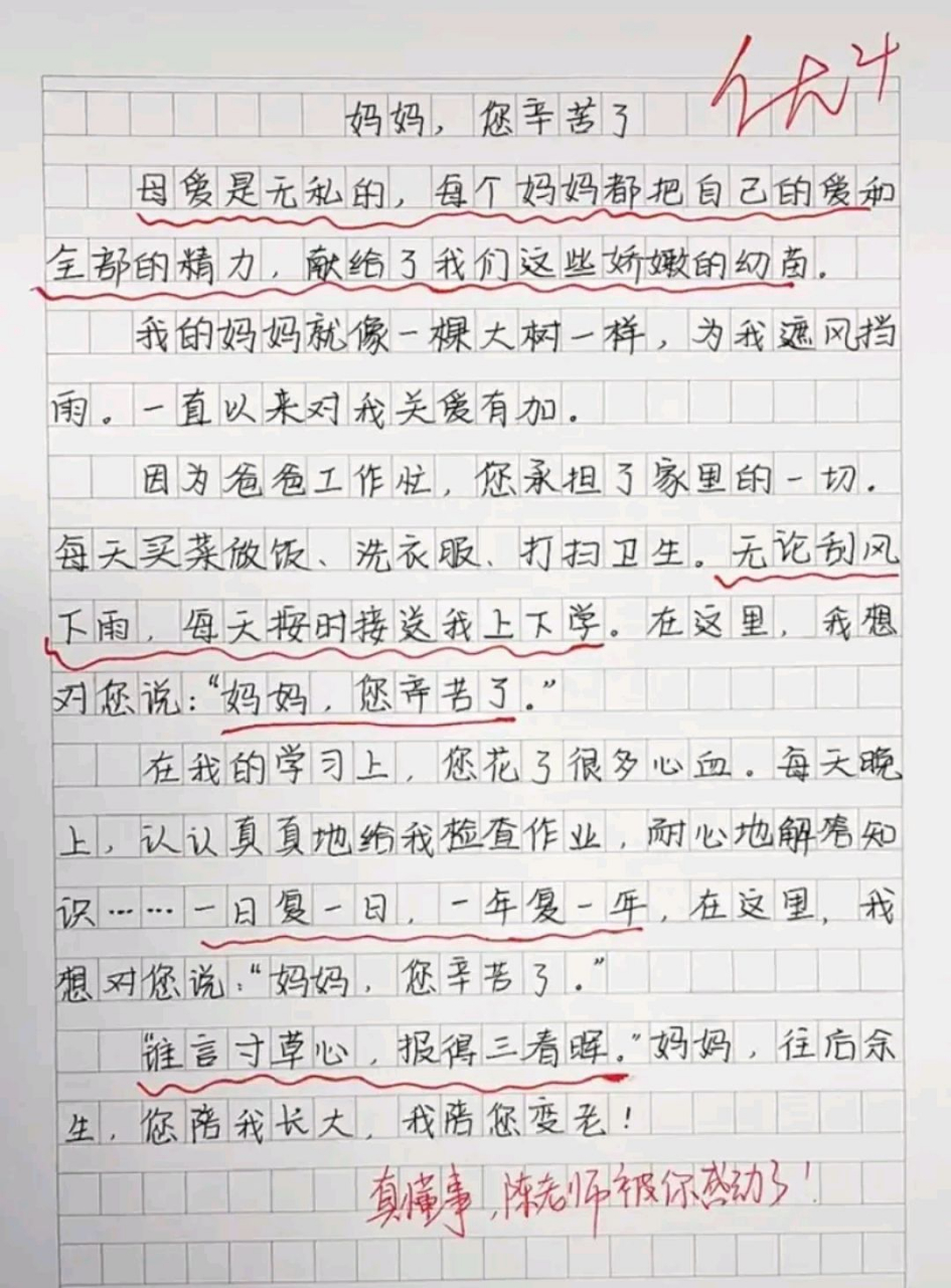 一名小學生寫的滿分作文《媽媽,您辛苦了》,媽媽的付出,孩子都看在