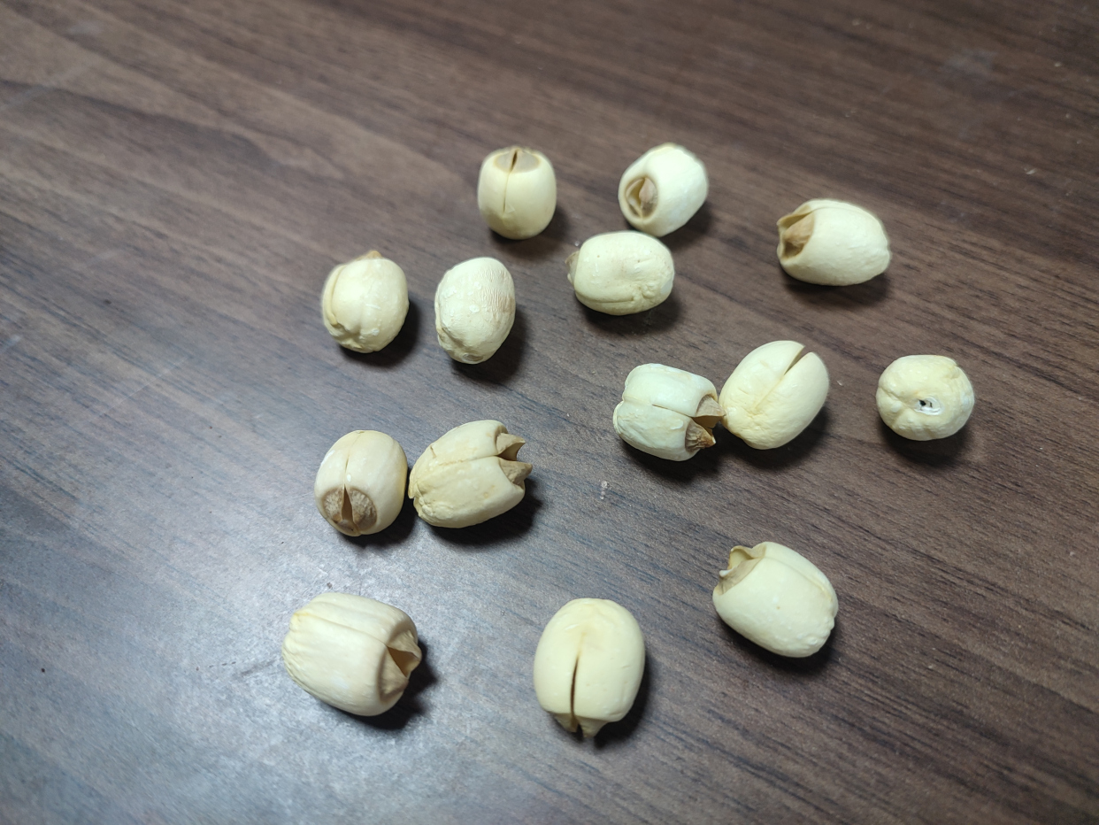 中药材:莲子