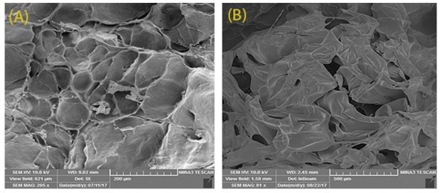 明胶/pcl–peg–pcl的纳米复合水凝胶支架