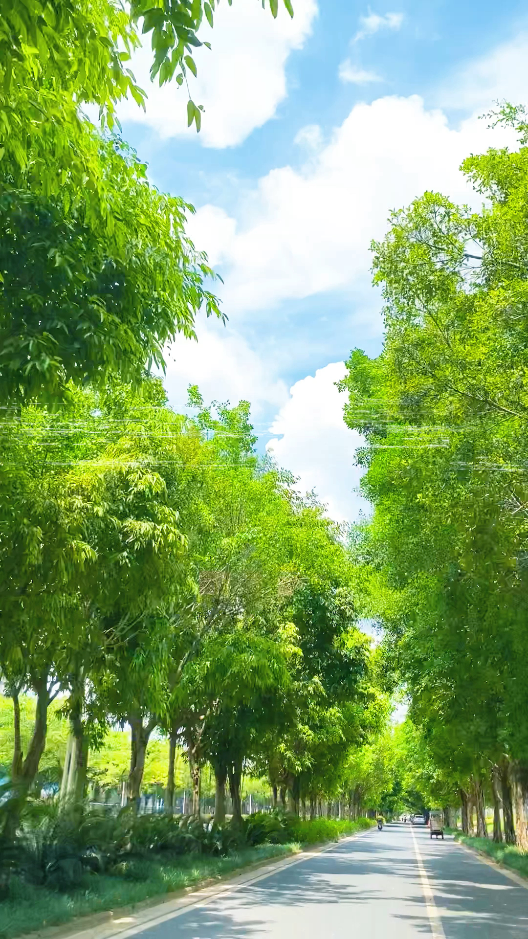 偶遇宫崎骏的夏天,太漂亮啦!