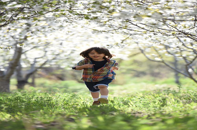 国家开发银行学生在线服务系统（国家开发银行学生在线服务系统中,哪个栏目）