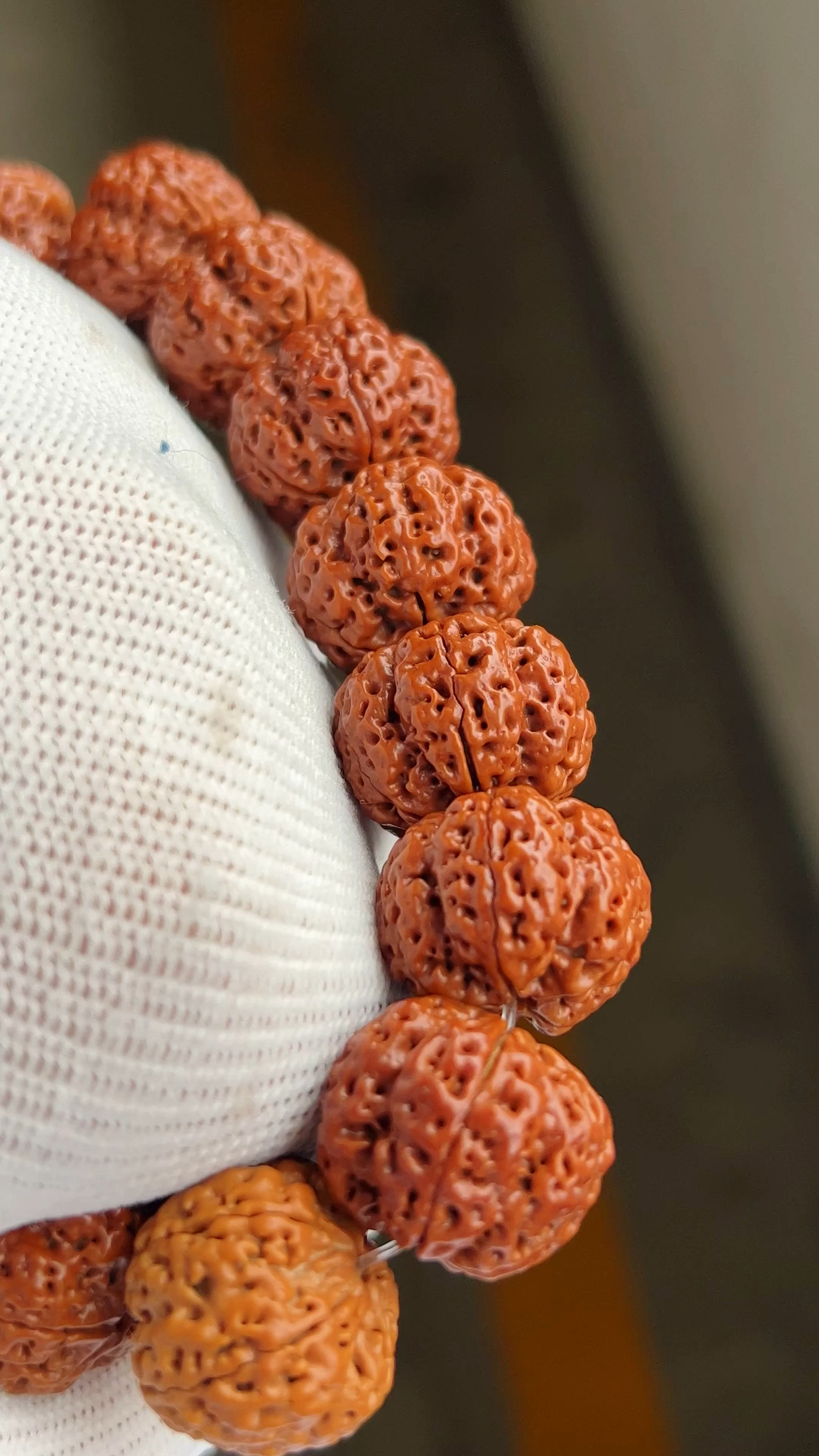 包浆的金刚菩提,比玉还美,自然光无美颜!