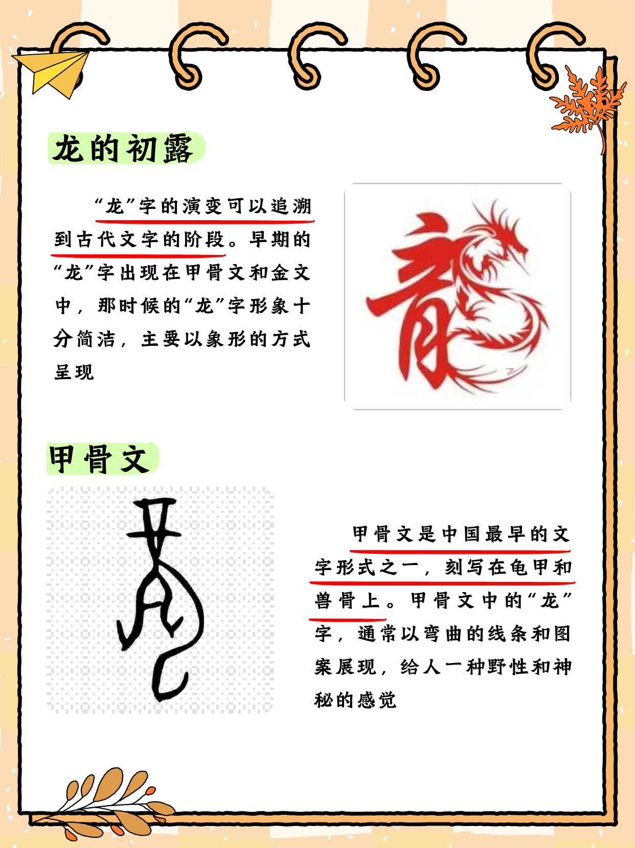 龙字的演变过程300字