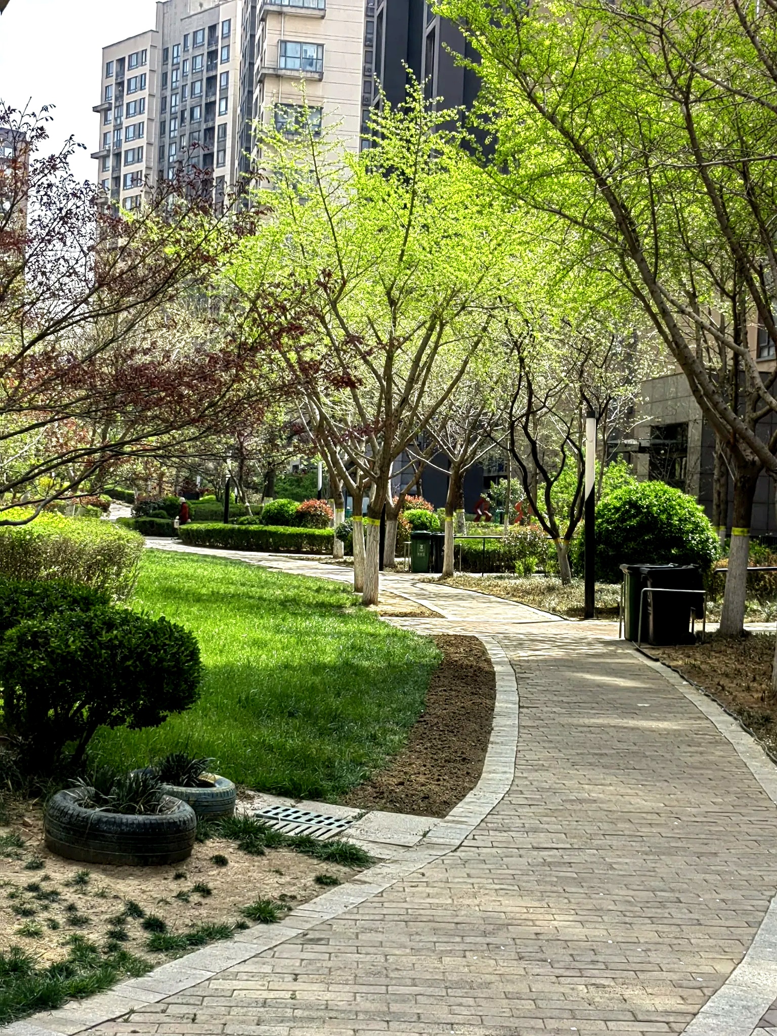 我们小区有位快七十岁的大姐,去年脚上突然长了个痒疮