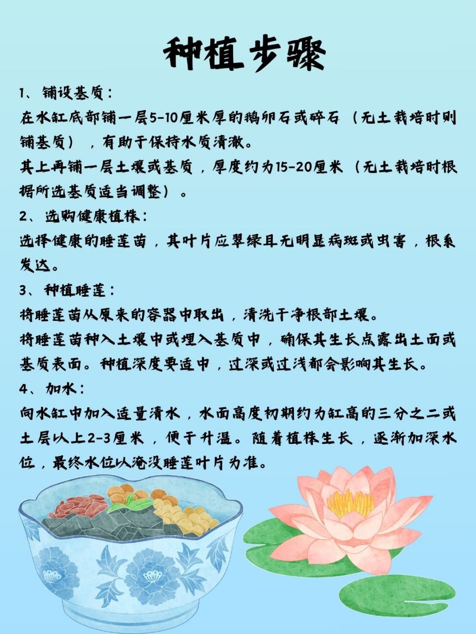 快来跟我看一看水缸种植睡莲的方法