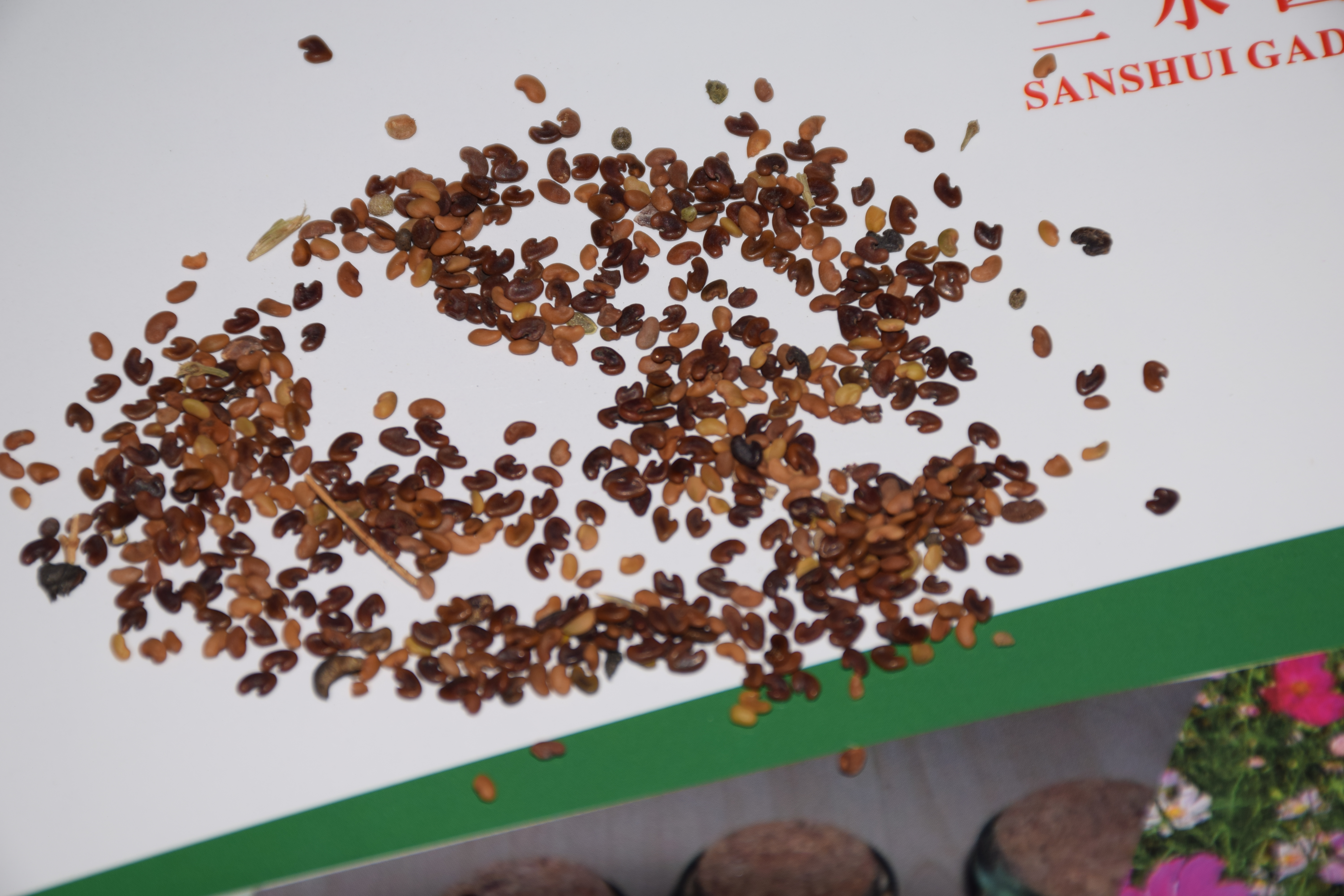 草籽绿化种子# 哎呀,小伙伴们,你们有没有遇到过这样的尴尬时刻?