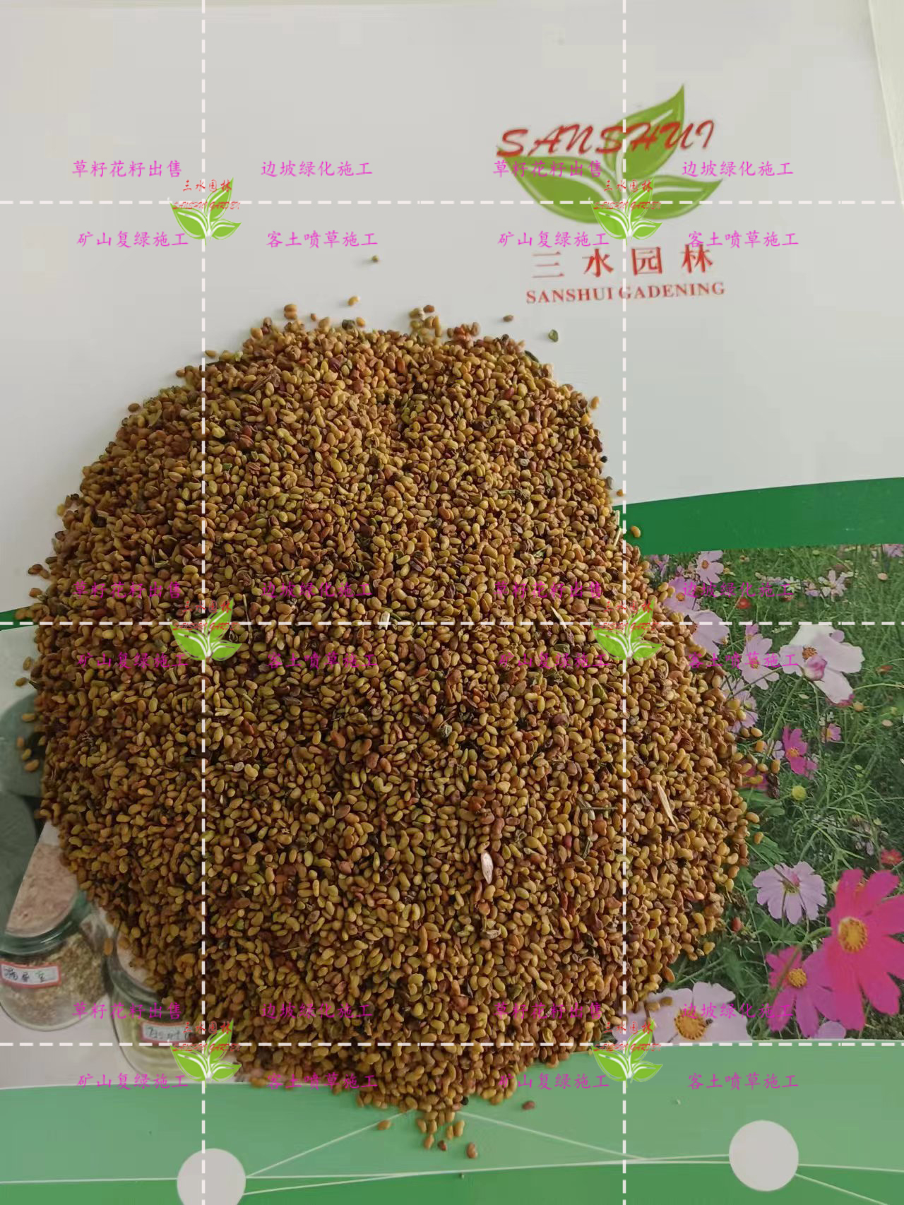 倾盆今天太阳就晒得人发慌 作为一个在福州种了三年草坪的草根专家