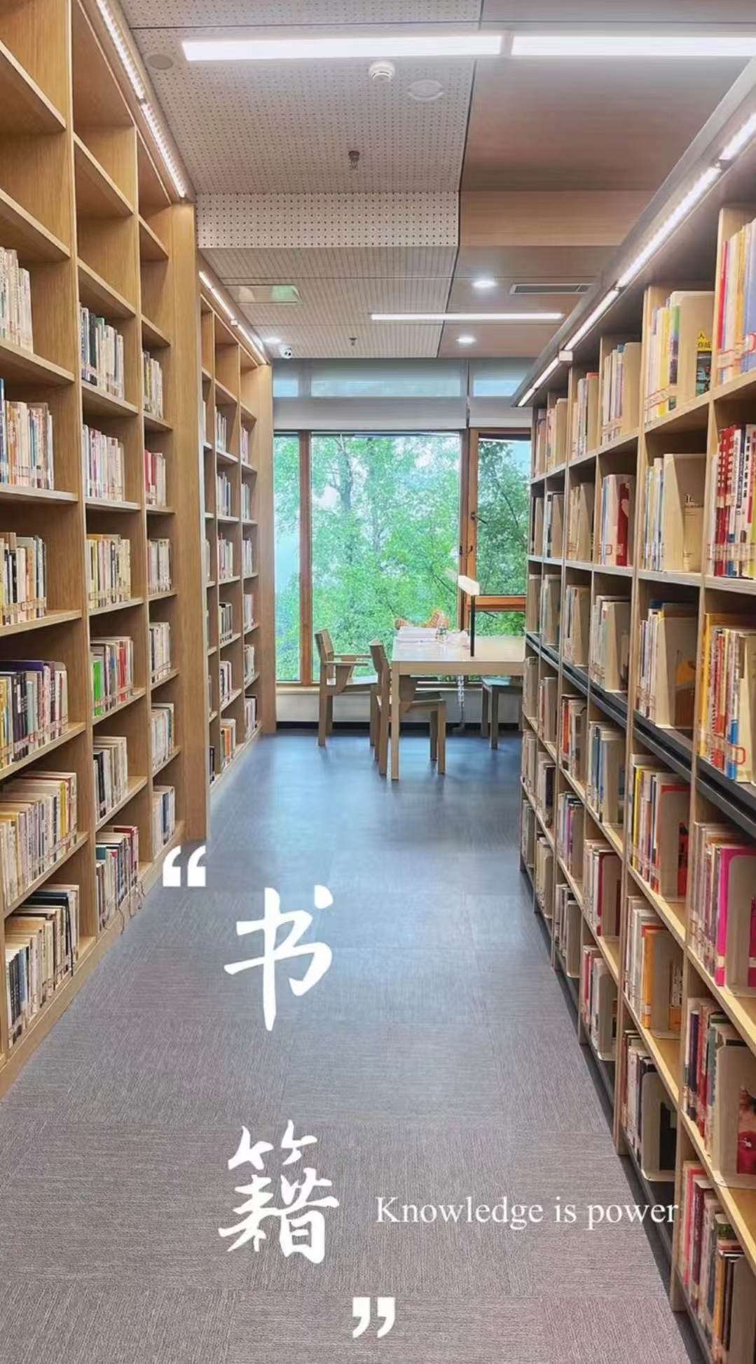 还记得那个阳光如流苏般洒在书上的上午吗?