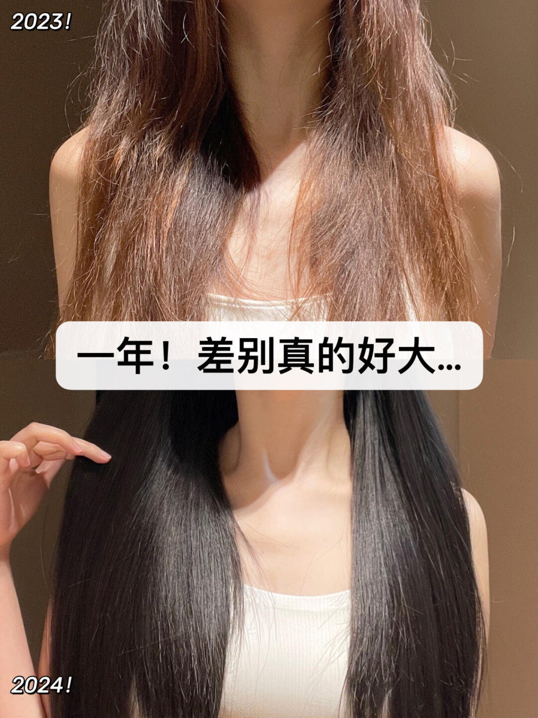 在追求秀发如丝的旅途中施华蔻护发精油是你的得力伙伴