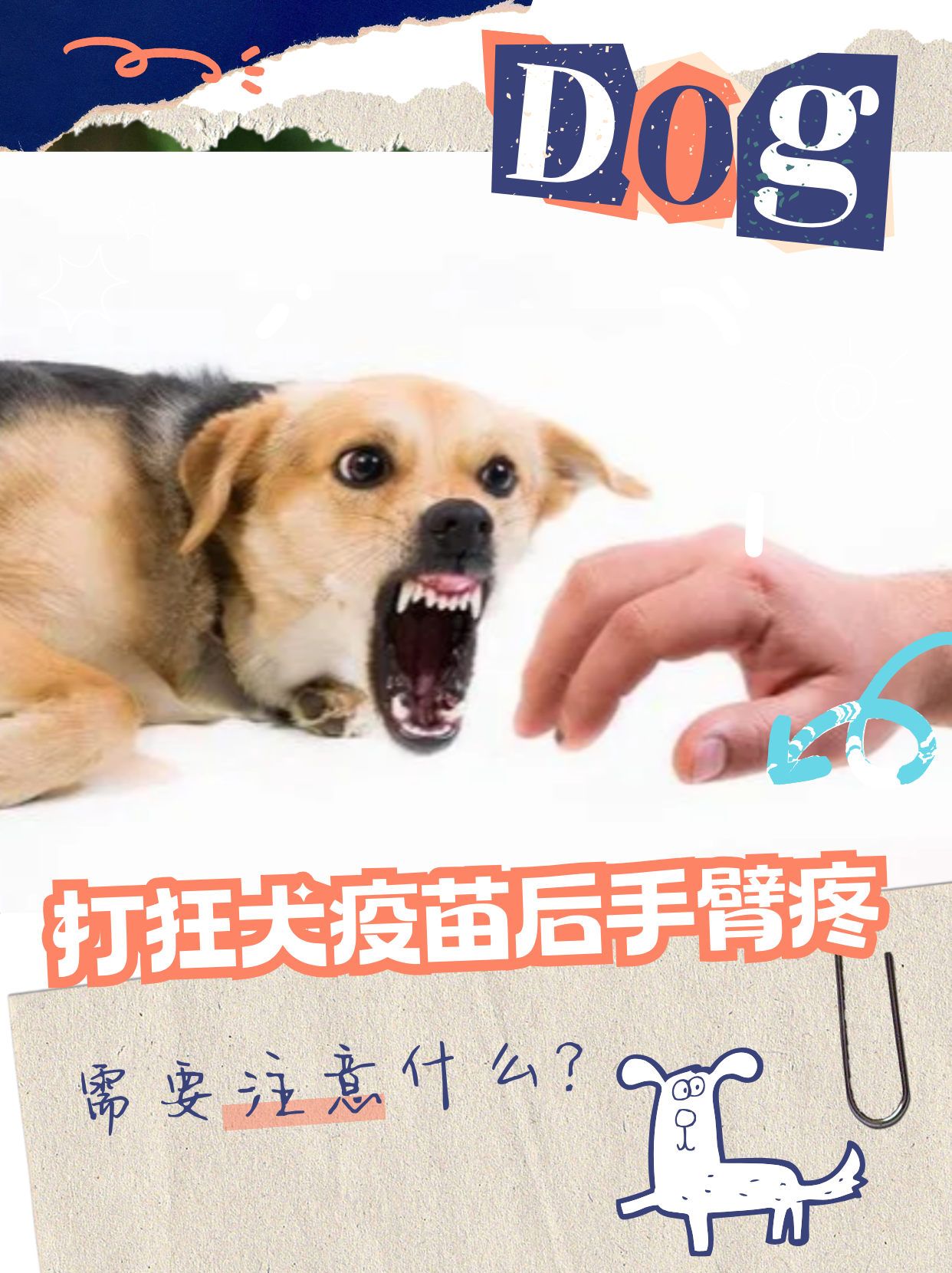 怎么判断人得了狂犬病图片