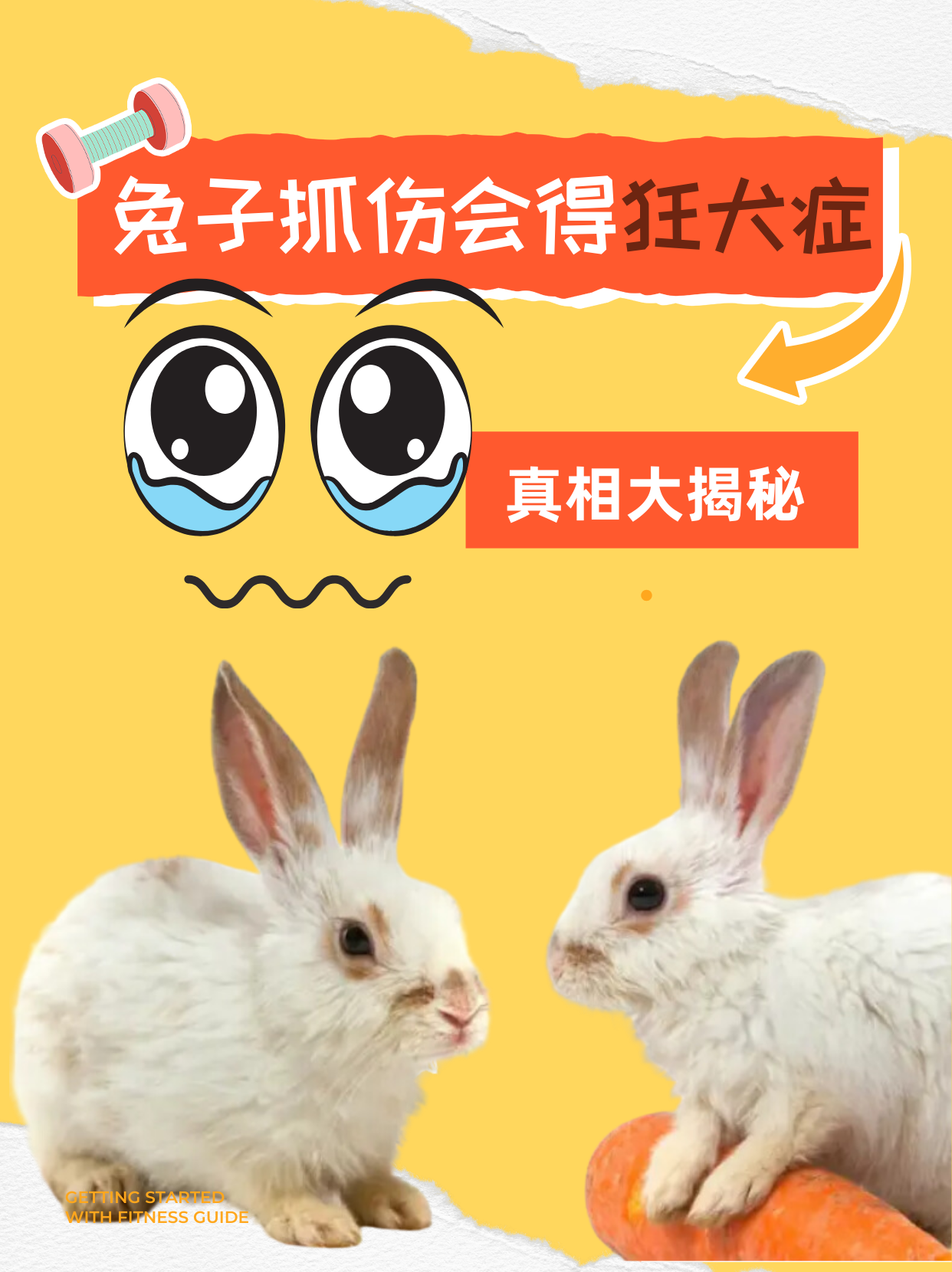 被兔子抓伤会得狂犬病吗 在日常生活中,与可爱的兔子接触时可能会不