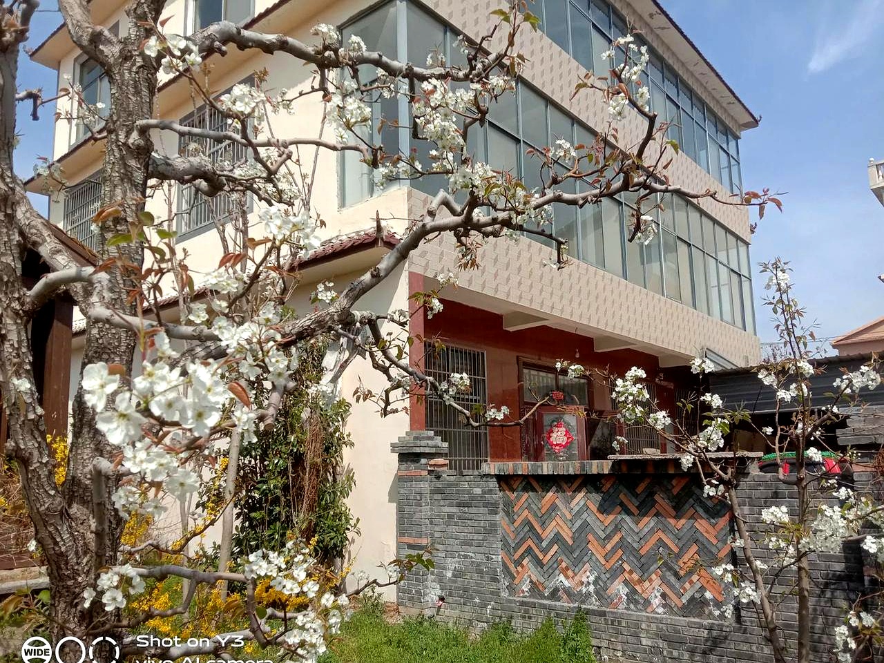 更神奇的是,是她儿媳妇先看上她当婆婆的!