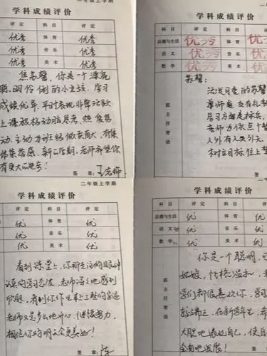 学业水平综合素质评价内容怎么写