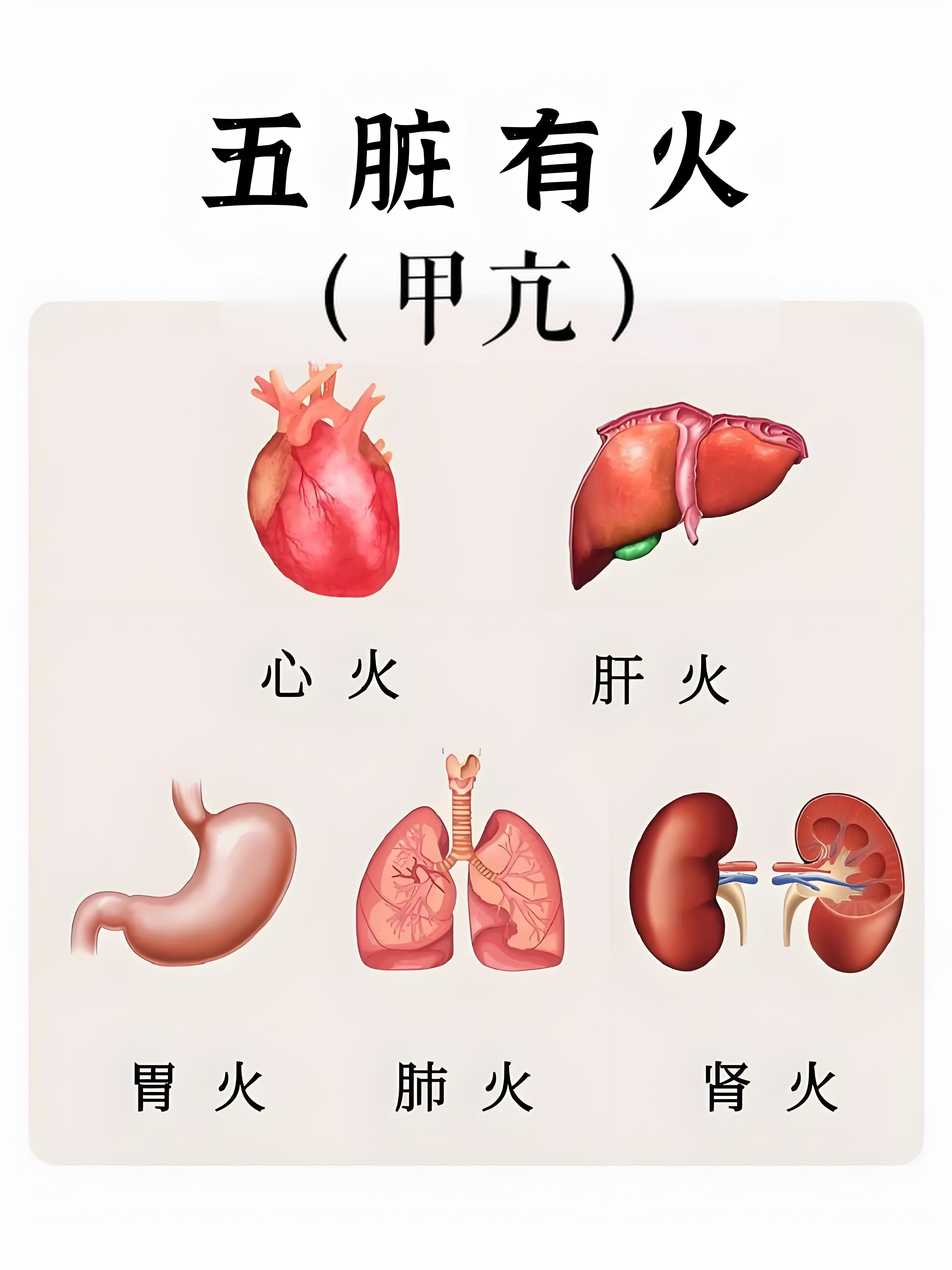 心火旺漫画