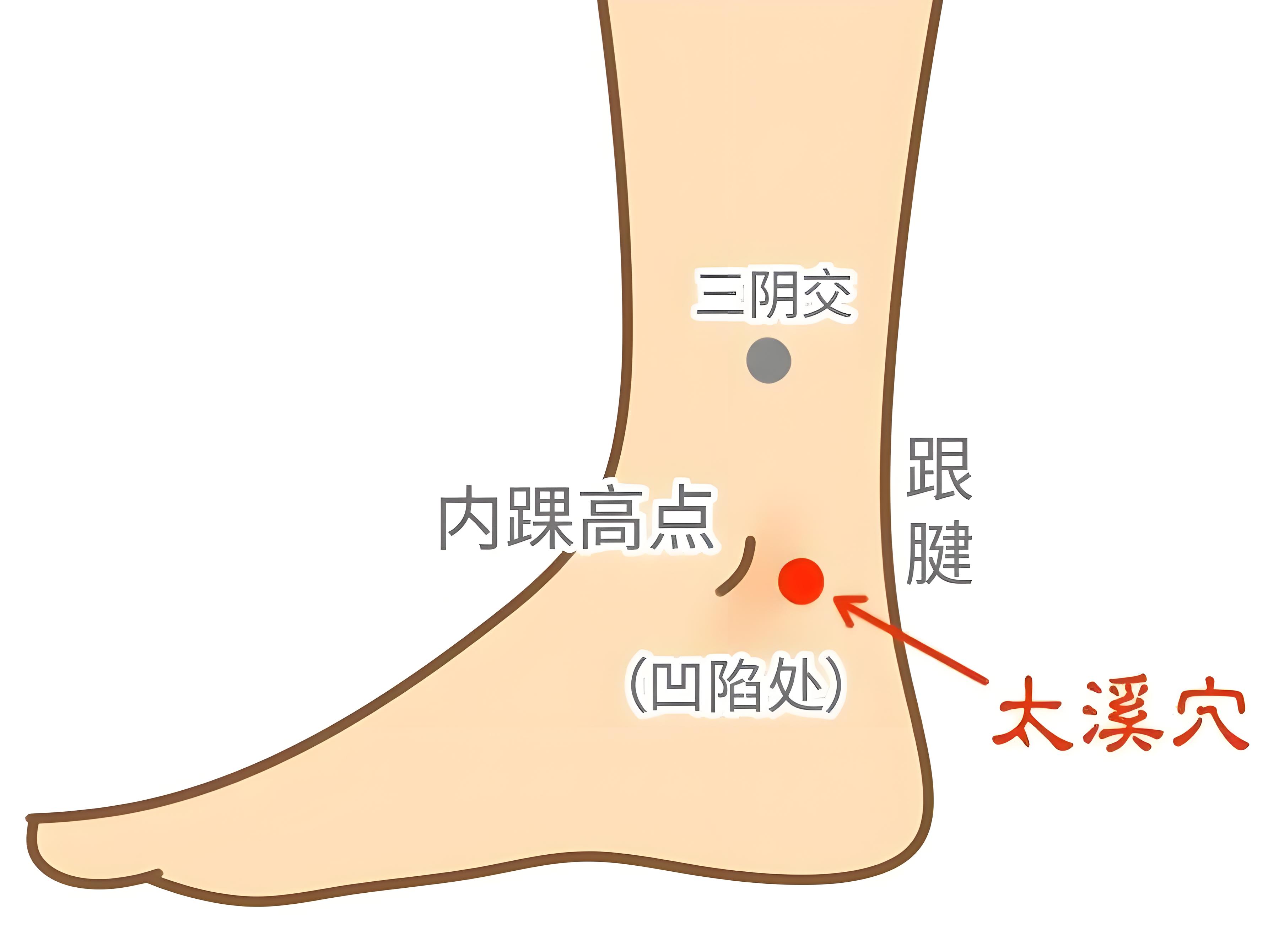 糖友必按脚踝"护肾穴"!血糖稳了肾不哭!