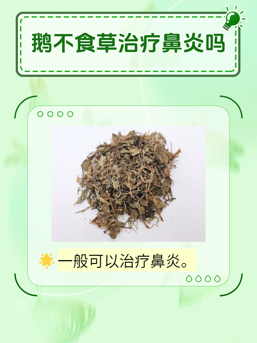 鹅不吃草治疗图片