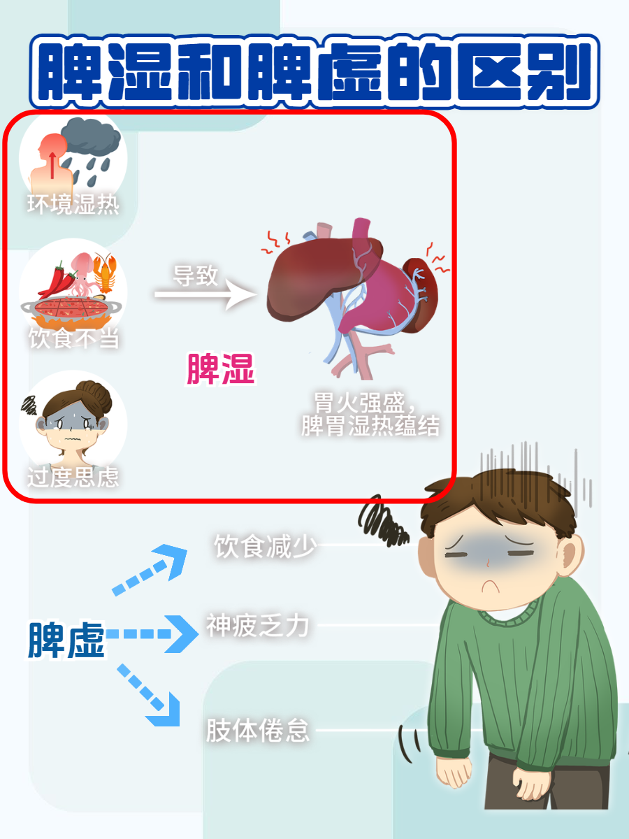 脾虚湿热有哪些症状表现?