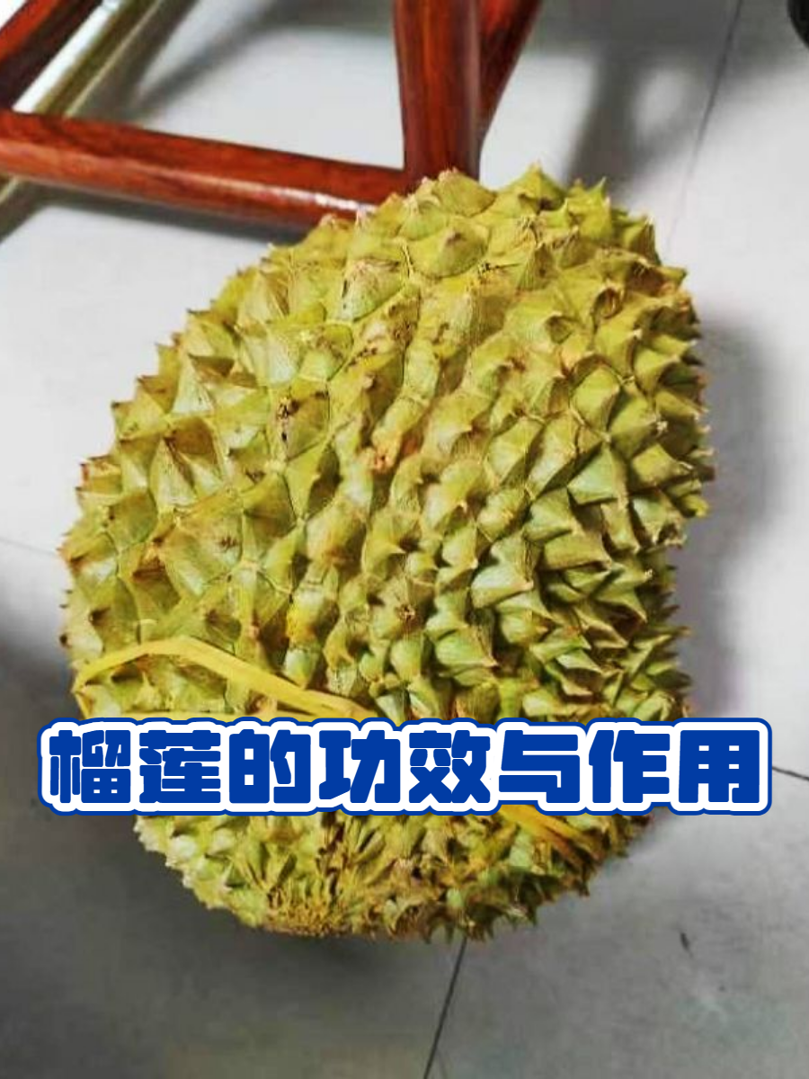 榴莲为什么是水果之王而不是苹果为什么在线 榴莲为什么是水果之王而不是苹果为什么在线