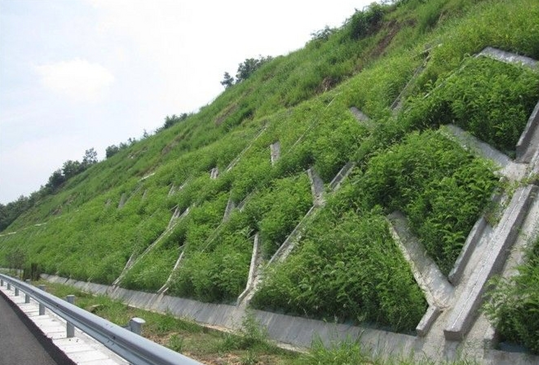 种新兴的生态护坡方式,在有效防护裸露坡面并实现坡面的生态植被恢复