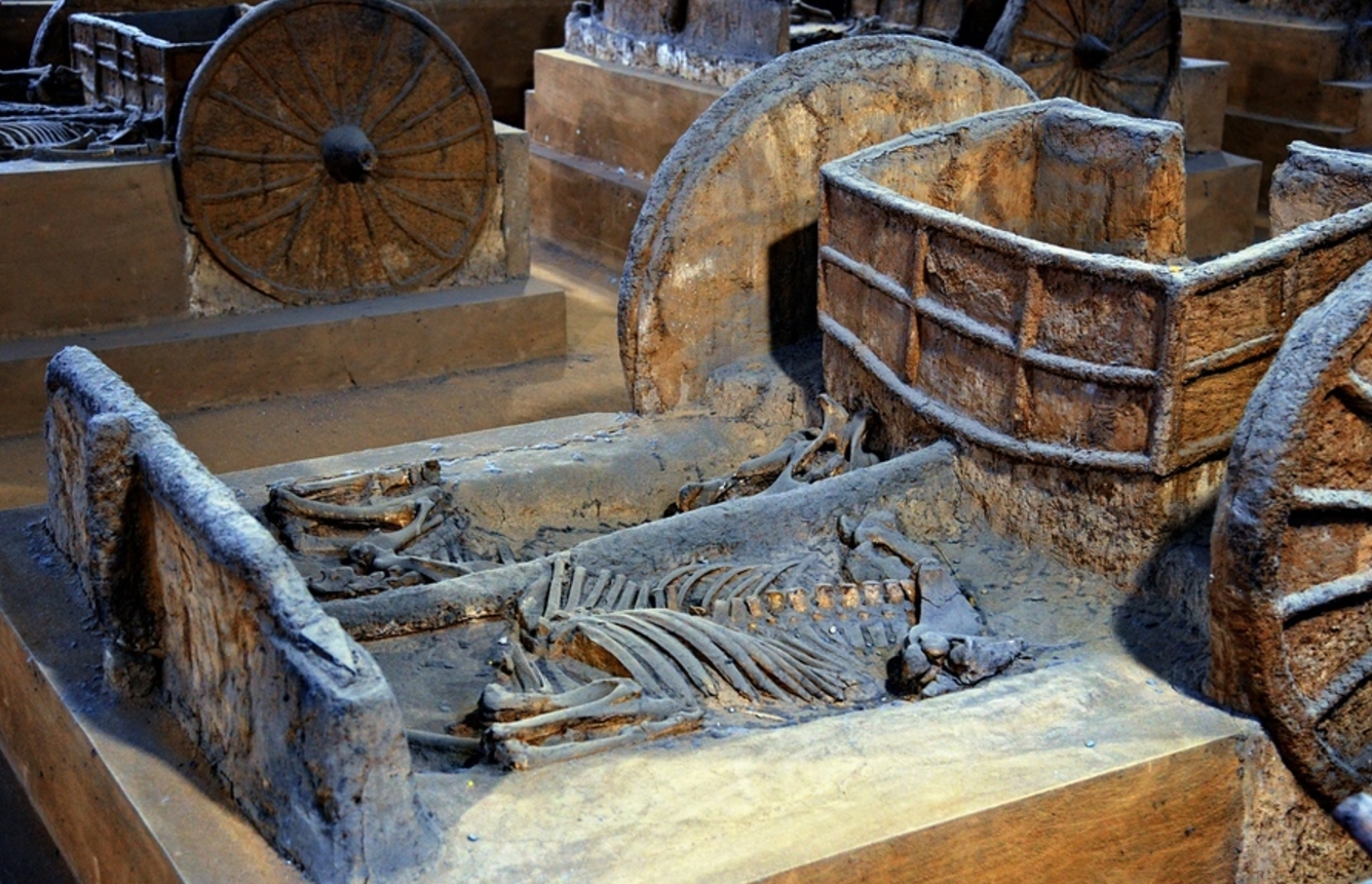 山东千年古墓惊现青铜宝库,陪葬马具纯金打造,墓主身份成未解之谜