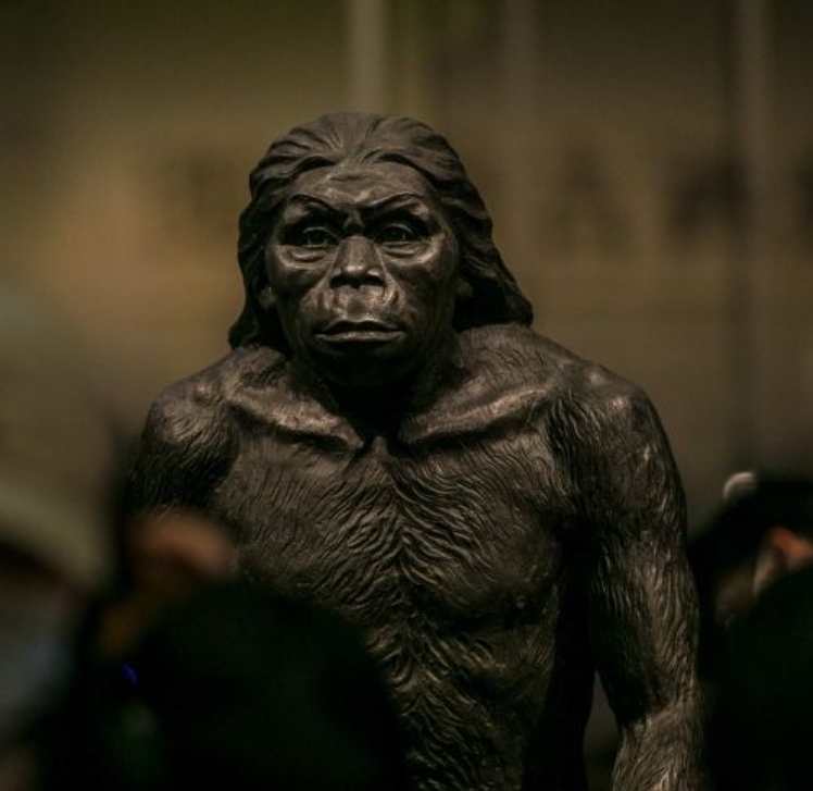 一,蓝田人的惊世发现 蓝田人,中国旧石器时代早期的直立人化石,其发现