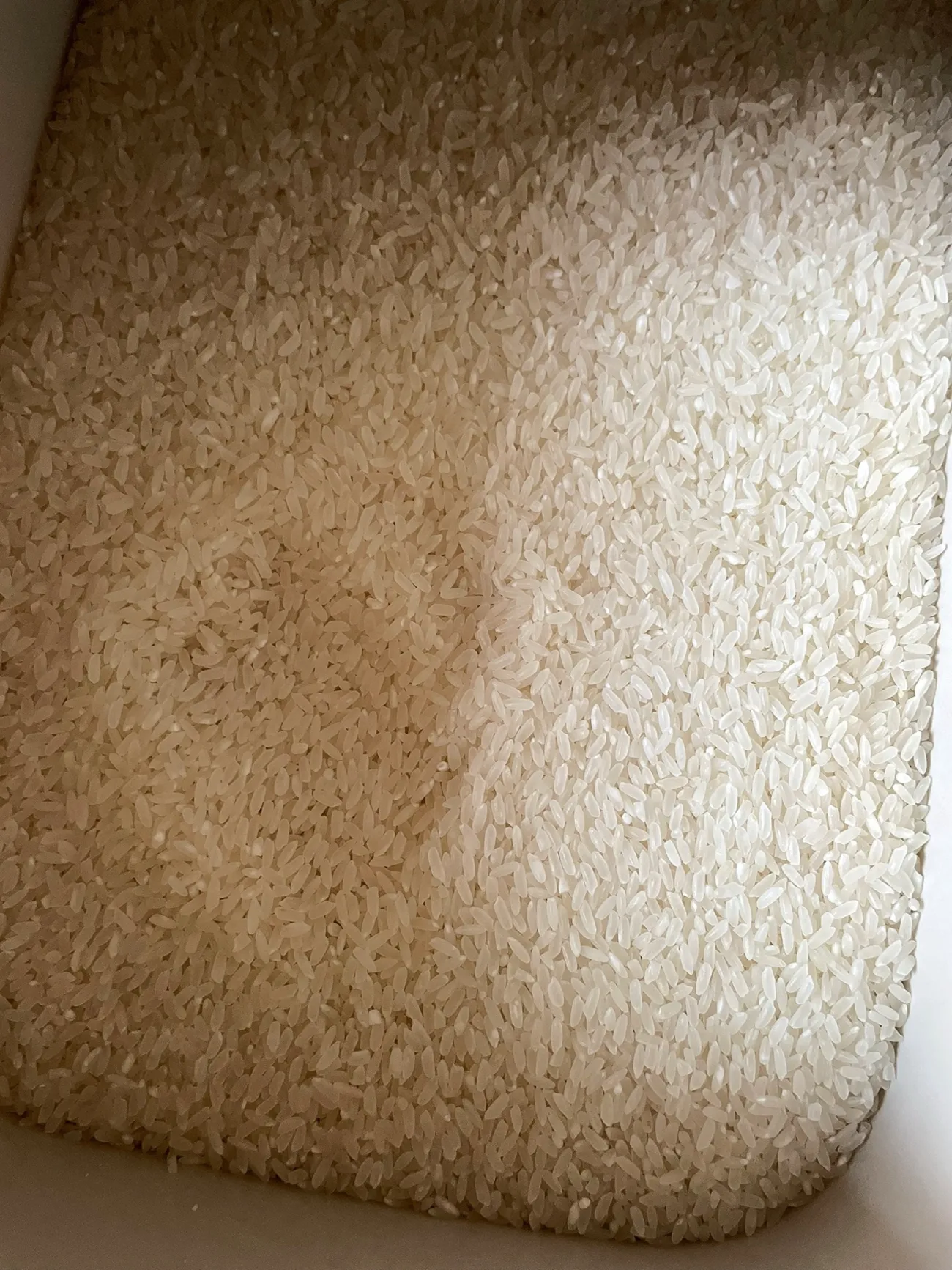 乔府大院五常大米,真是米饭中的佼佼者