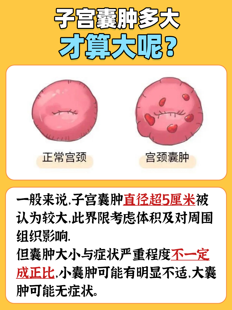 子宫囊肿多大才算大呢?