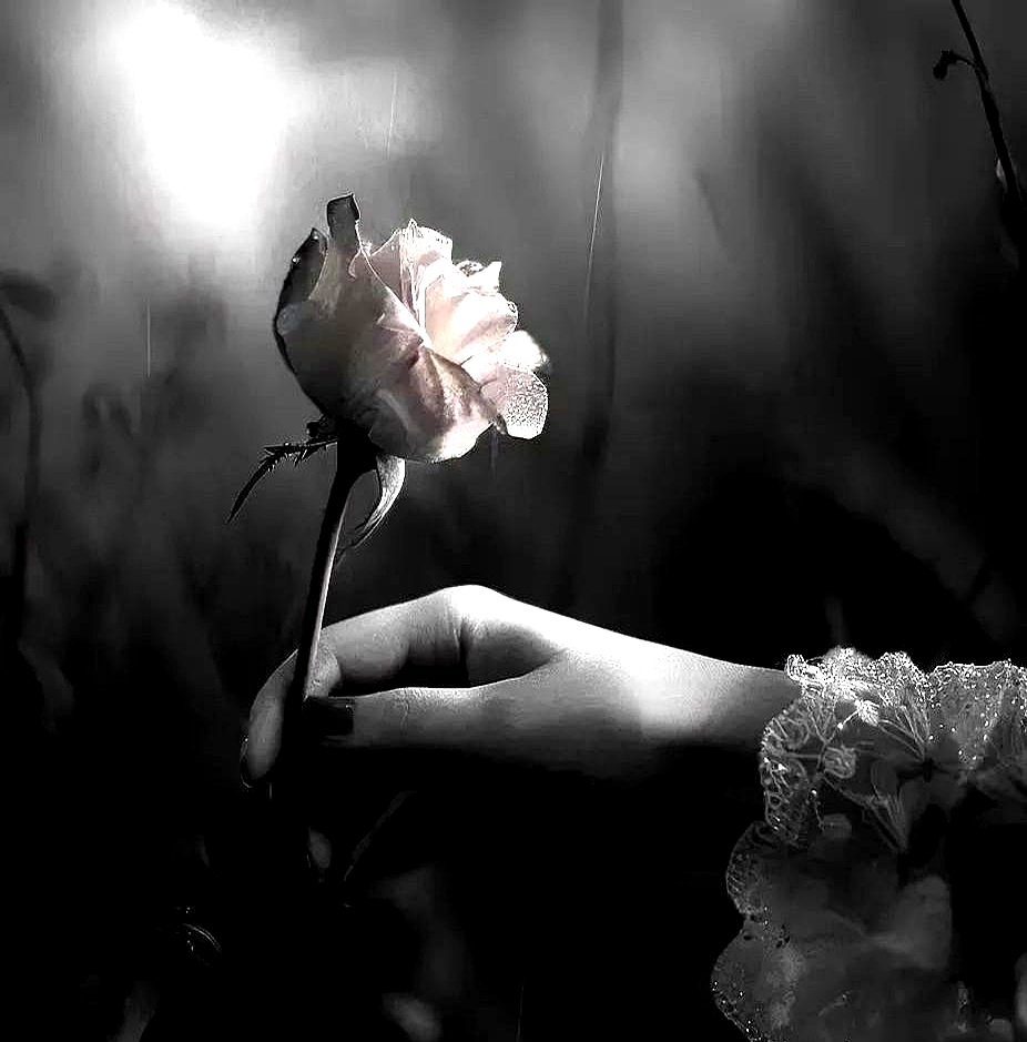 我好后悔,当初有个男生追我,一直追求我快两年,我