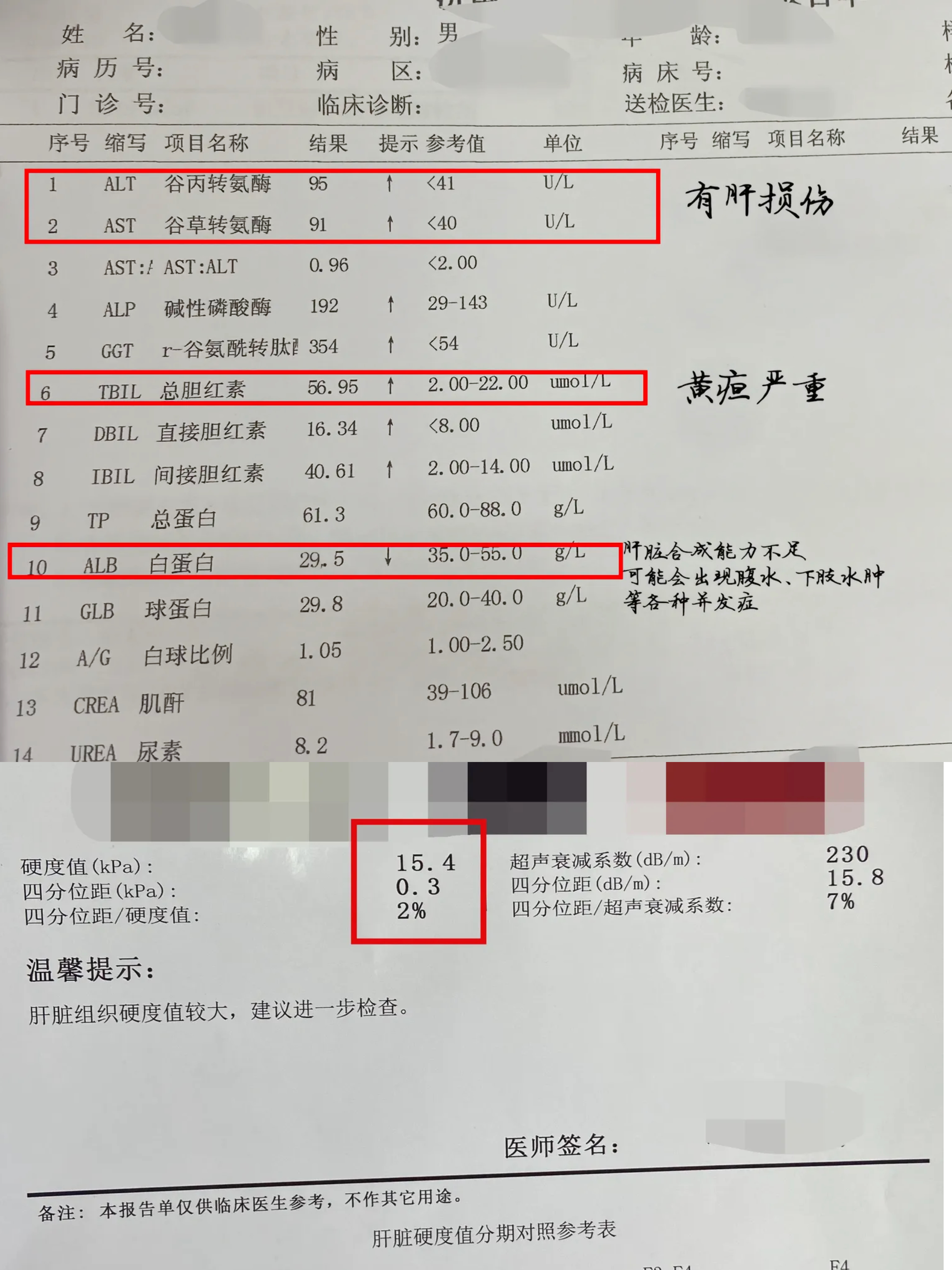 肝炎指标化验单图片