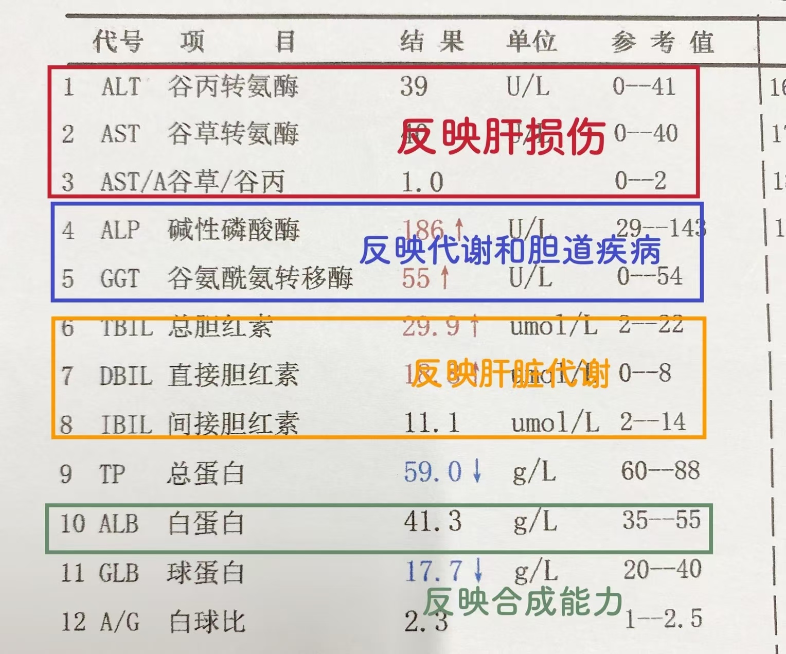 转氨酶水平:除非病理性因素导致的转氨酶升高外,其值一般不会超过0