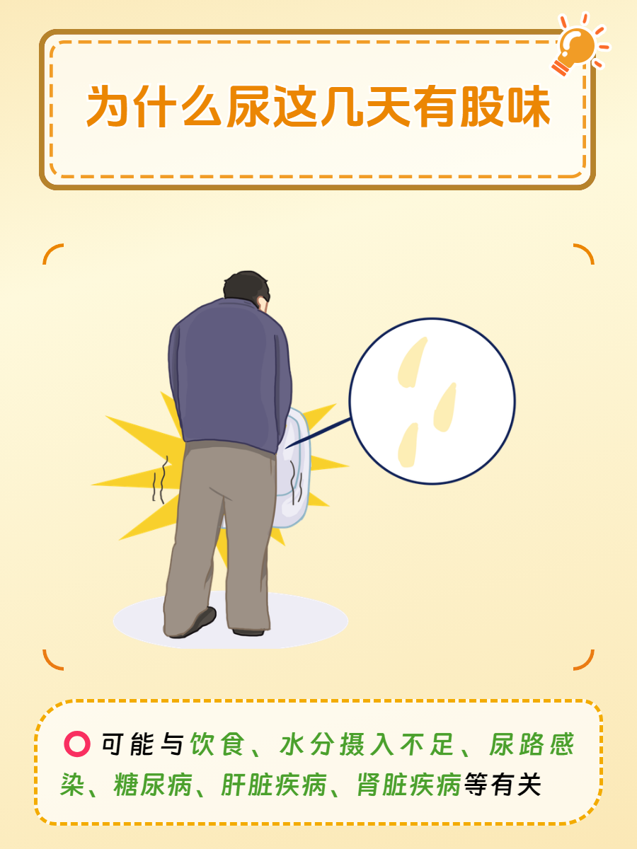 为什么尿