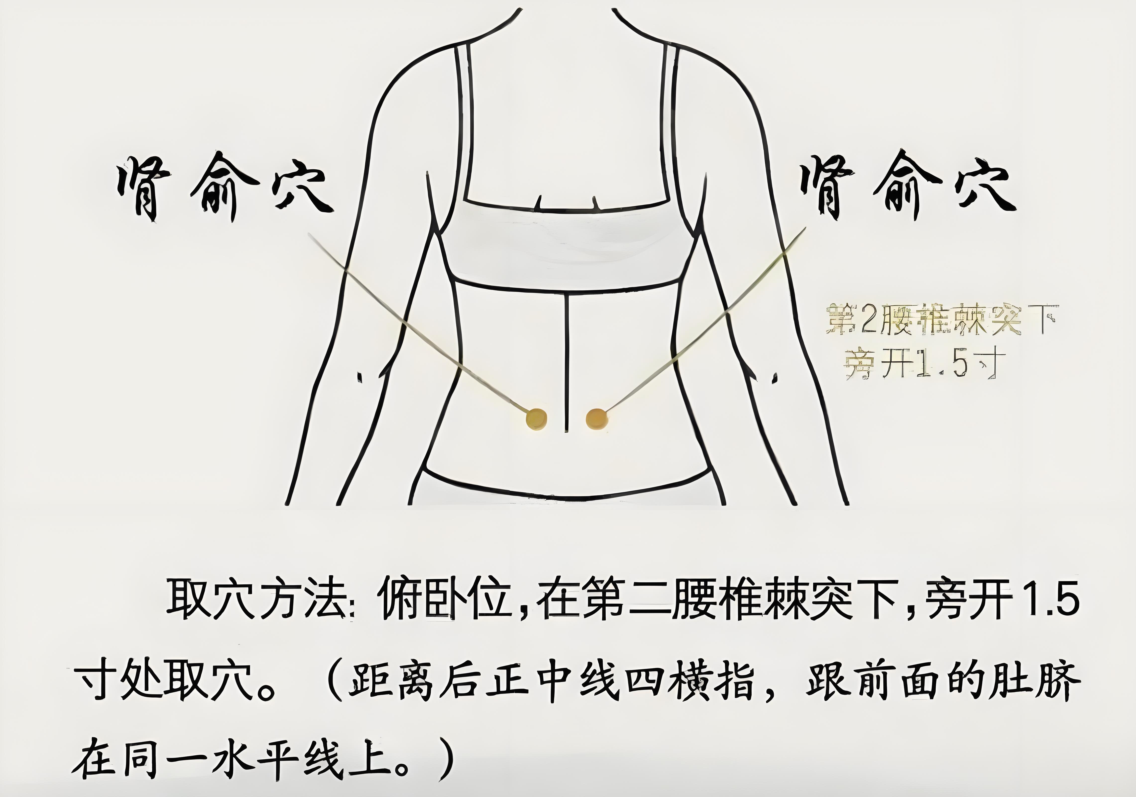 图肾关的准确位置图肾结石疼按摩哪里可以缓解肾经经络图走向肾俞穴