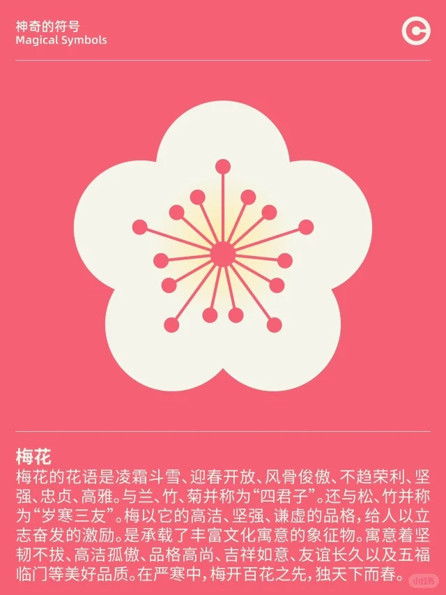 六瓣梅花象征图片