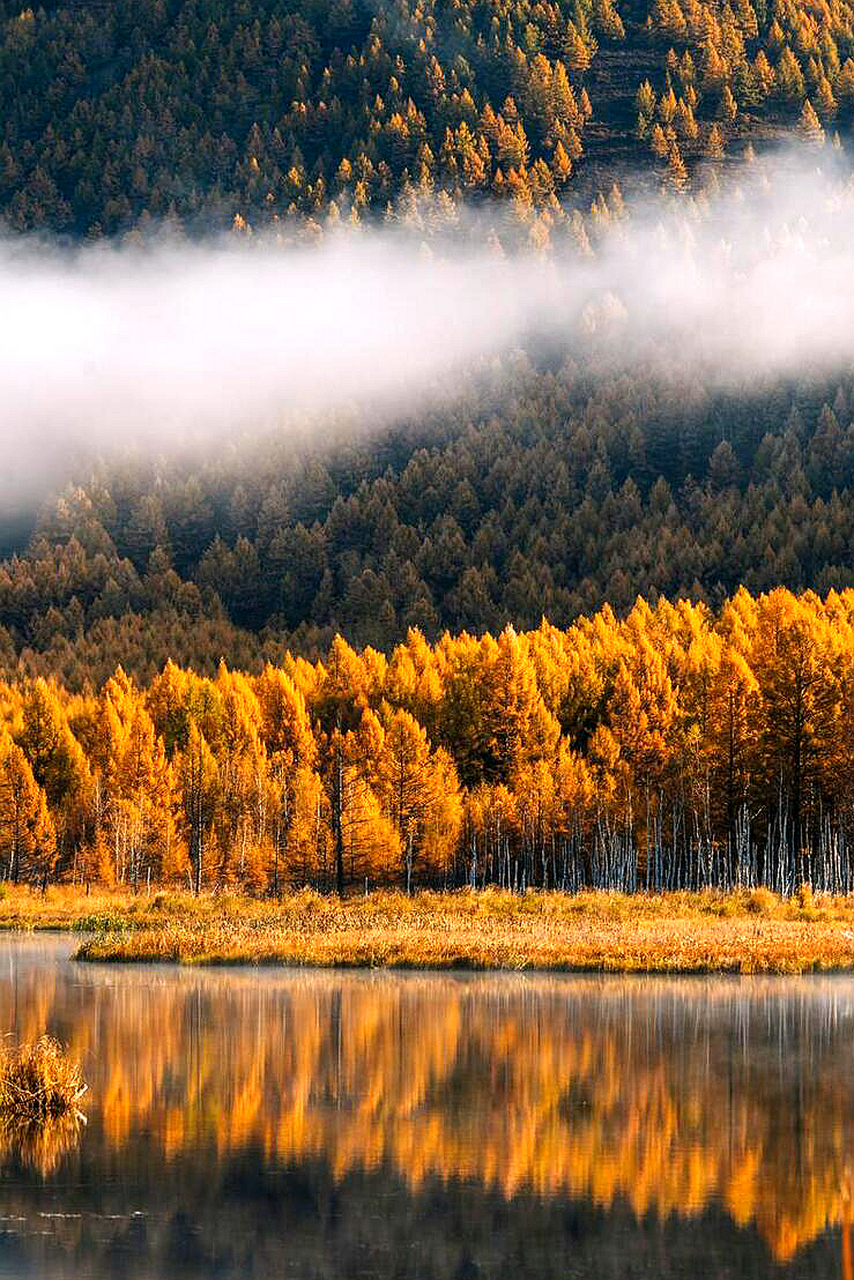 看真正的林海,还是来内蒙古吧