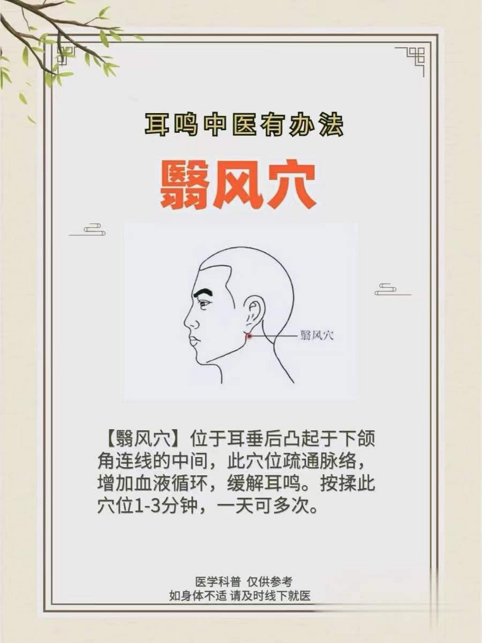 耳朵后面脖子的经络图图片