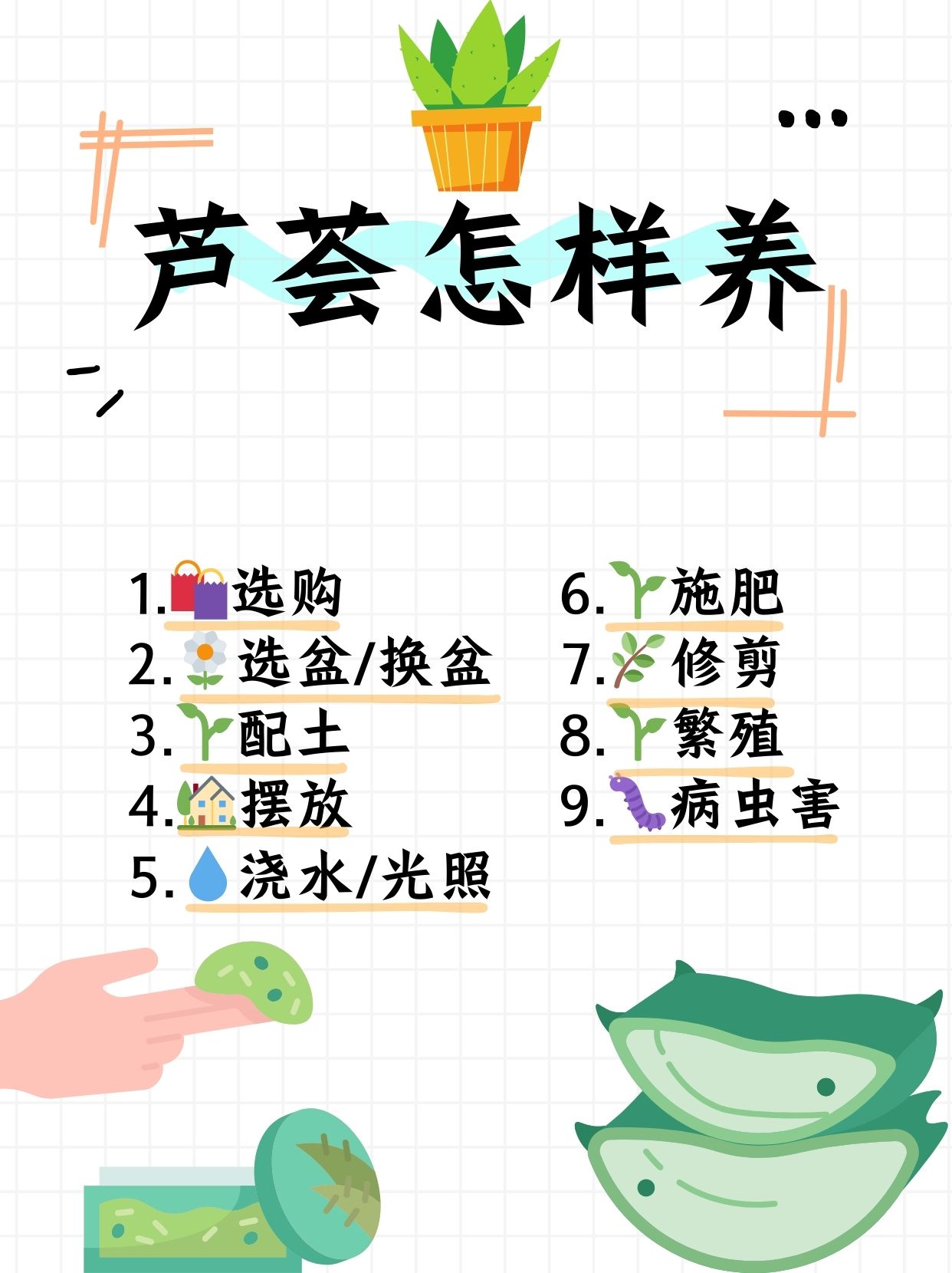 挑选秘籍 想要芦荟爆盆?第一步,挑对"选手"!