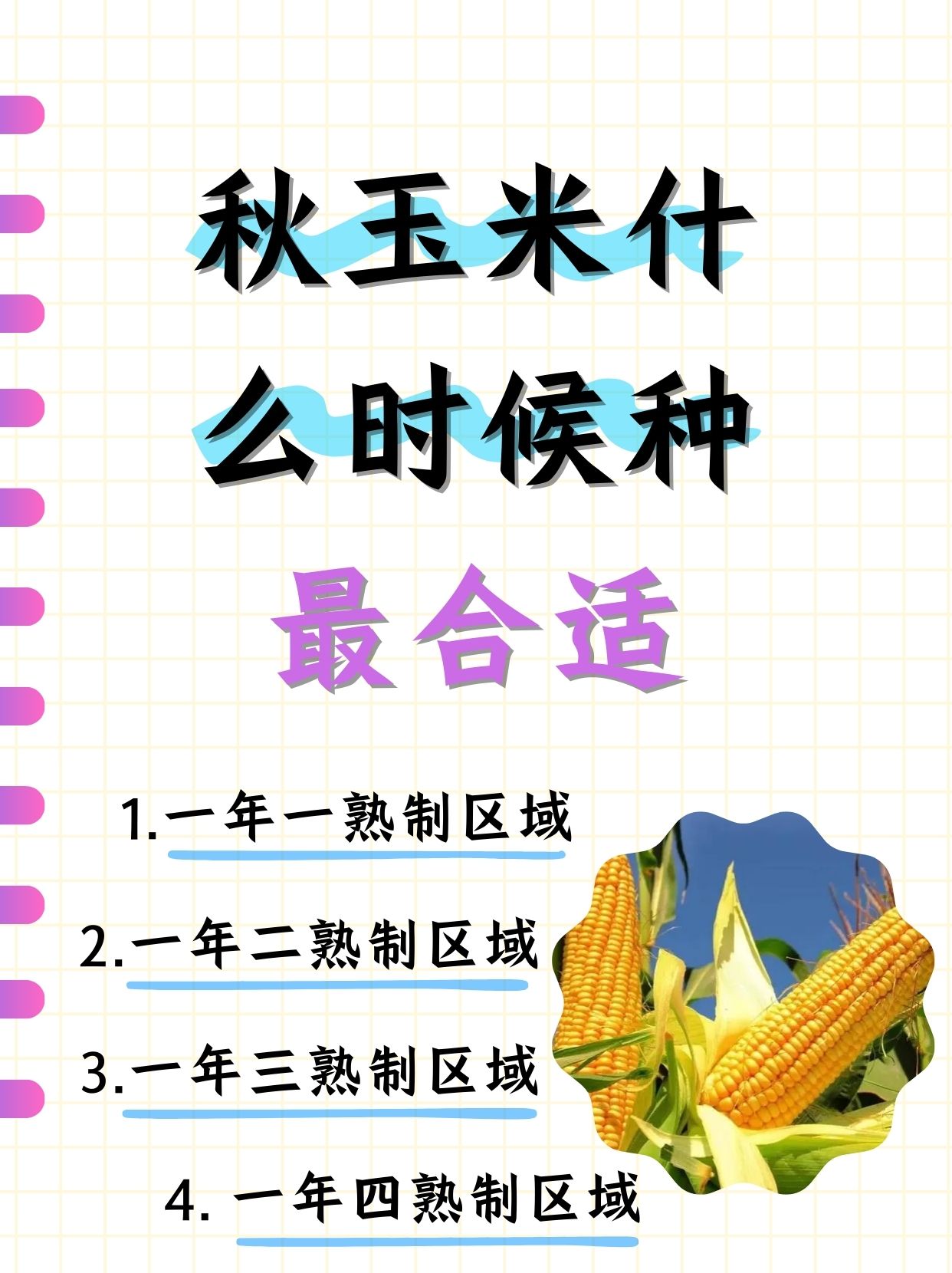 说到秋天,你是不是也在琢磨,这金秋时节,能否给土地添上一抹玉米绿呢?