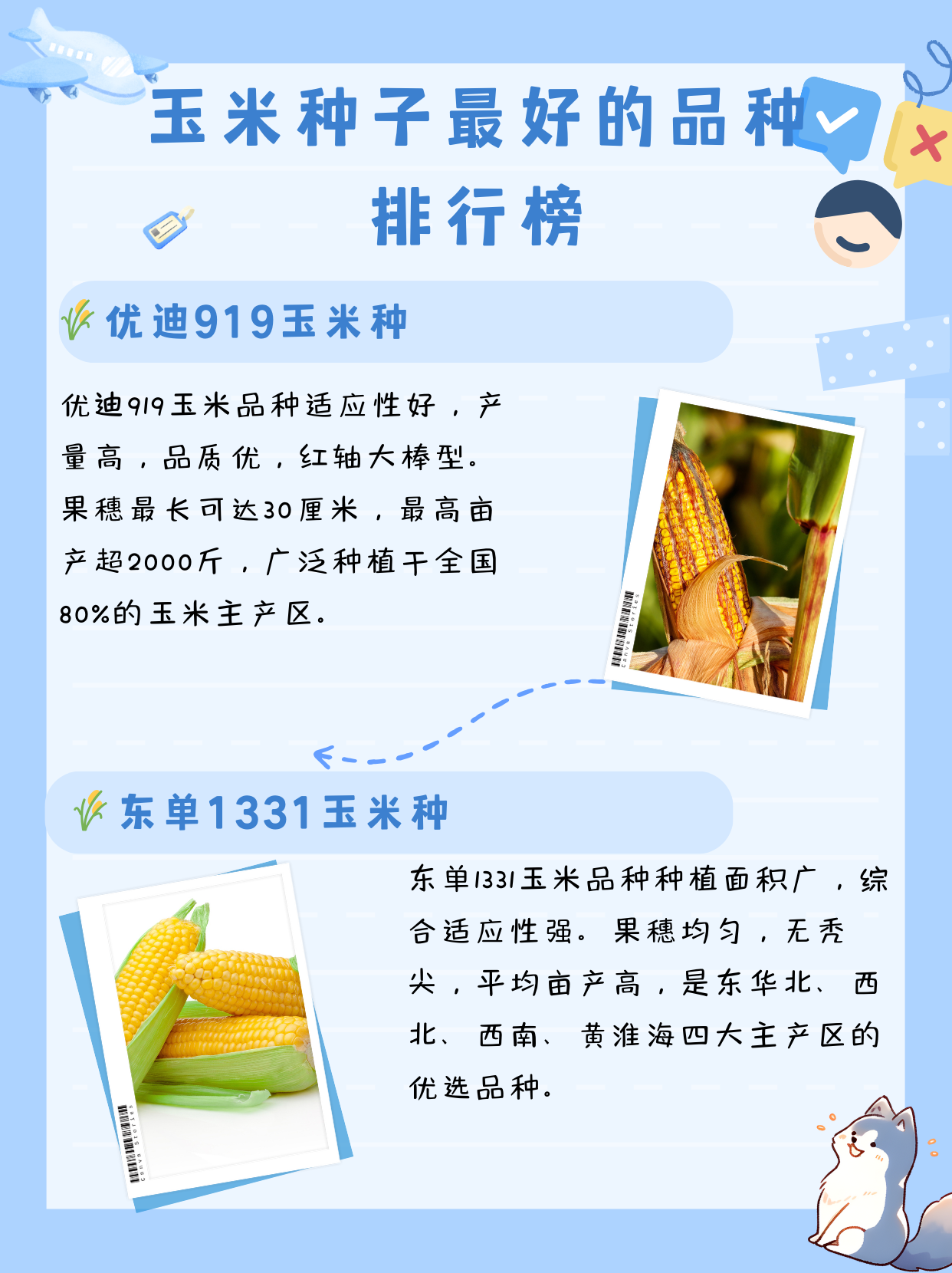 据不完全统计,目前通过国家审定的玉米品种多达2万多个.2021